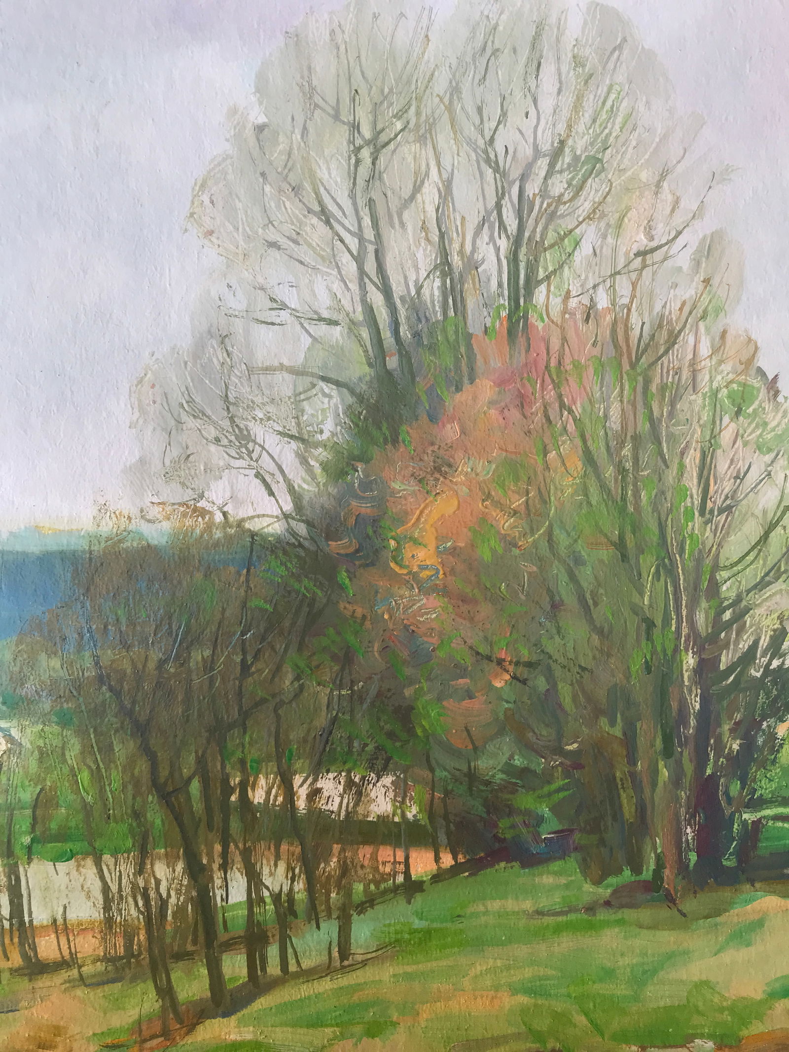 Oil painting May Oleksandr Oleksandrovich Nazarenko - 8