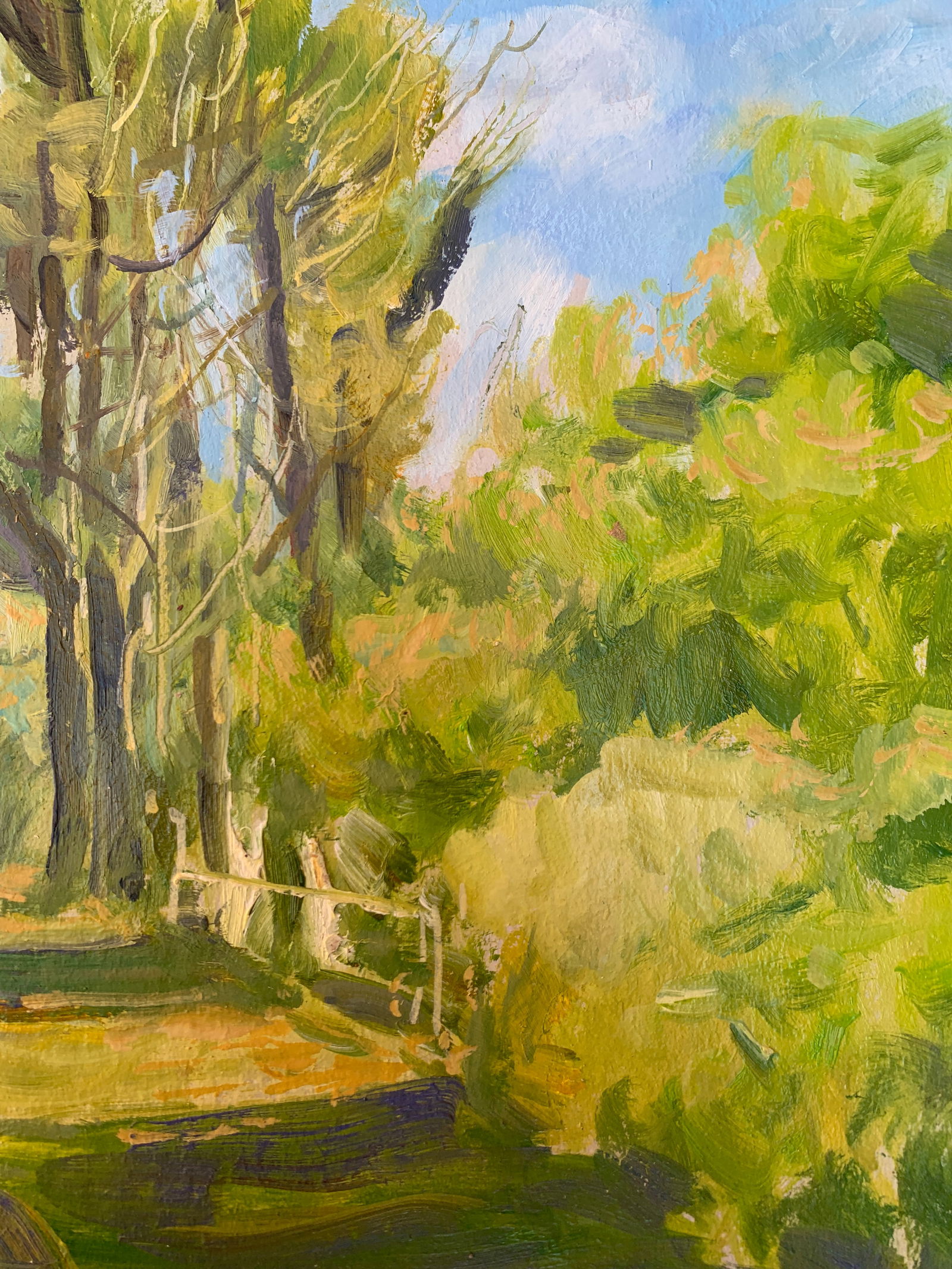 Oil painting In the village Oleksandr Oleksandrovich Nazarenko - 11