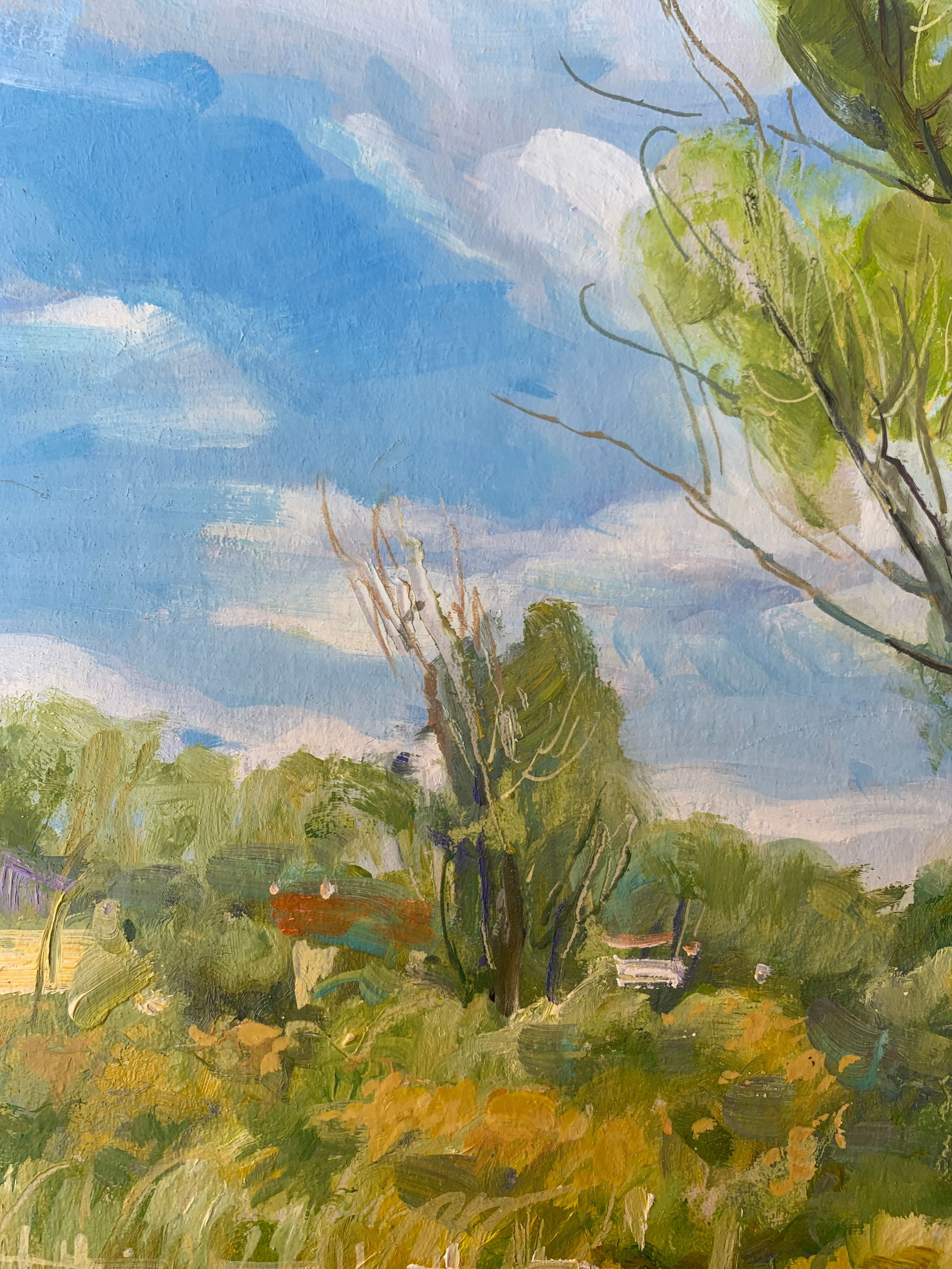 Oil painting In the village Oleksandr Oleksandrovich Nazarenko - 4