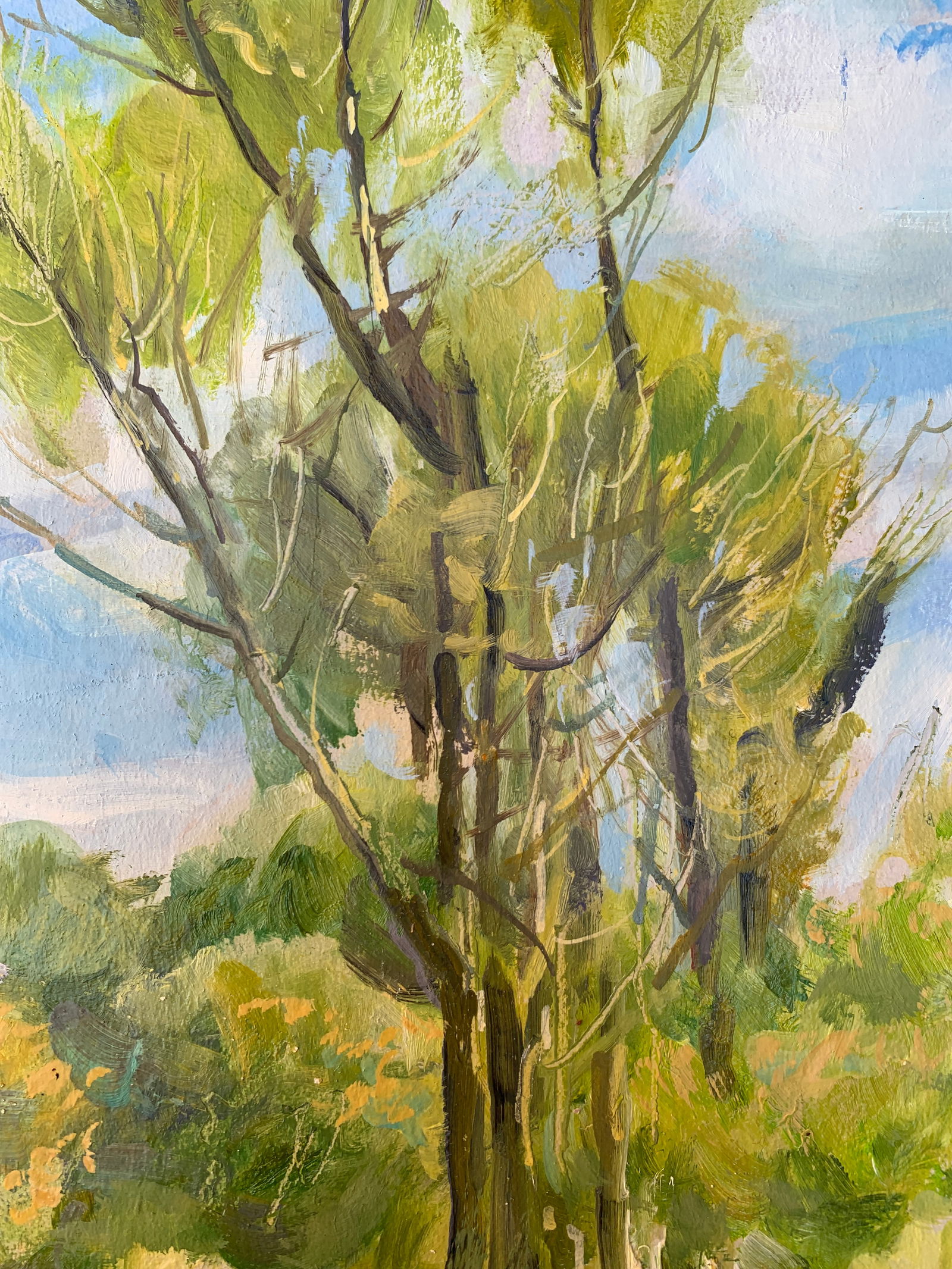 Oil painting In the village Oleksandr Oleksandrovich Nazarenko - 8