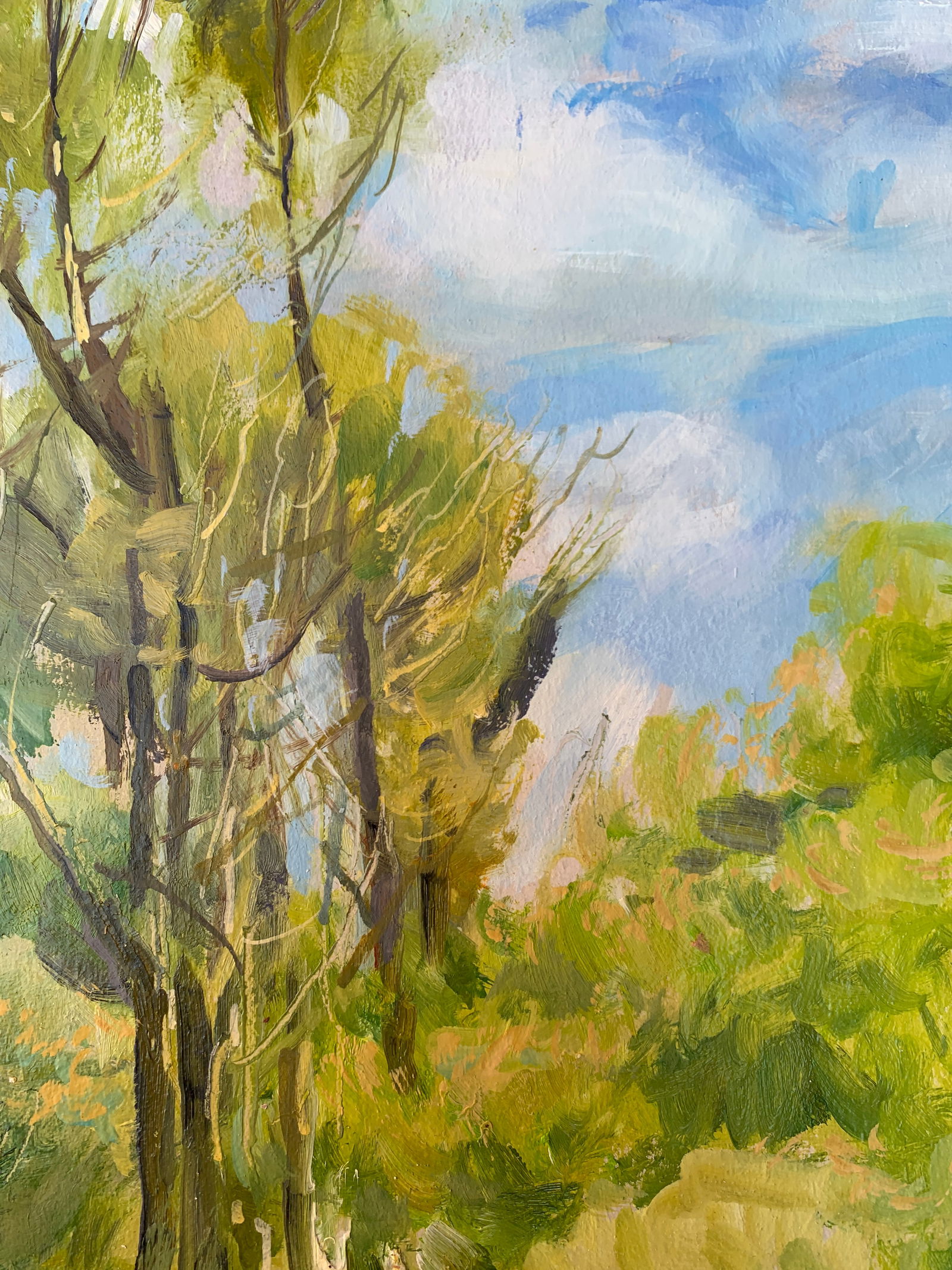 Oil painting In the village Oleksandr Oleksandrovich Nazarenko - 9