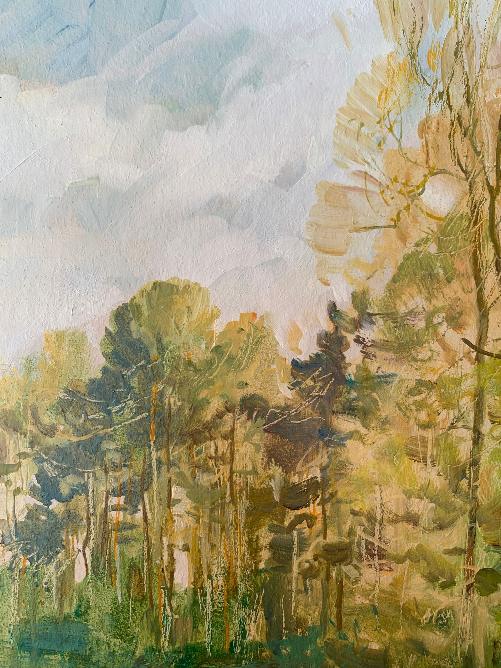 Oil painting In the meadow Oleksandr Oleksandrovich Nazarenko - 4