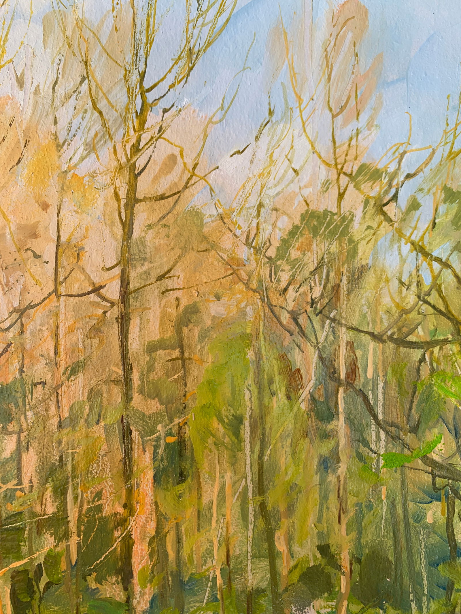 Oil painting In the meadow Oleksandr Oleksandrovich Nazarenko - 9