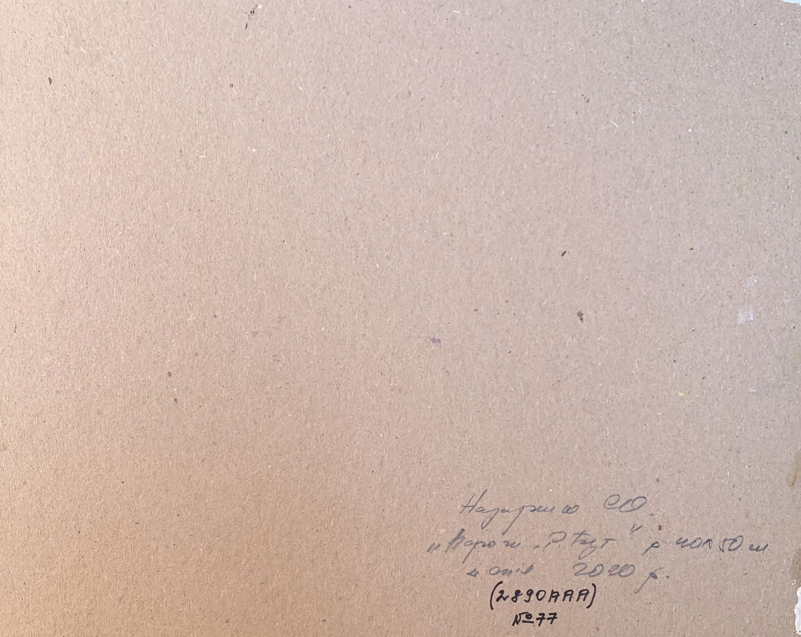 Oil painting Rapids on the Bug River Oleksandr Oleksandrovich Nazarenko - 3