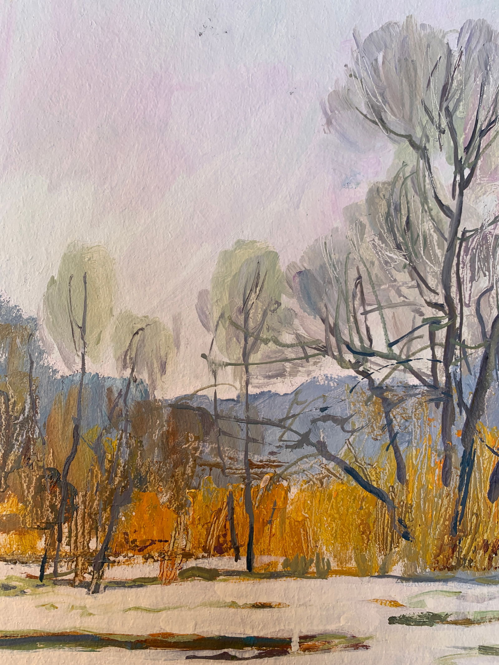 Oil painting Rapids on the Bug River Oleksandr Oleksandrovich Nazarenko - 4