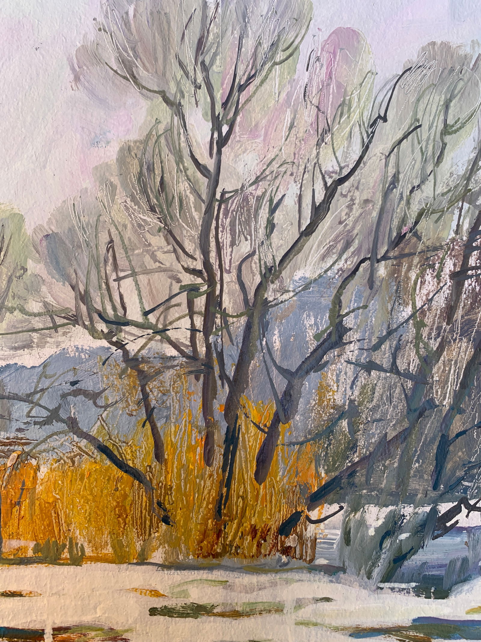 Oil painting Rapids on the Bug River Oleksandr Oleksandrovich Nazarenko - 6