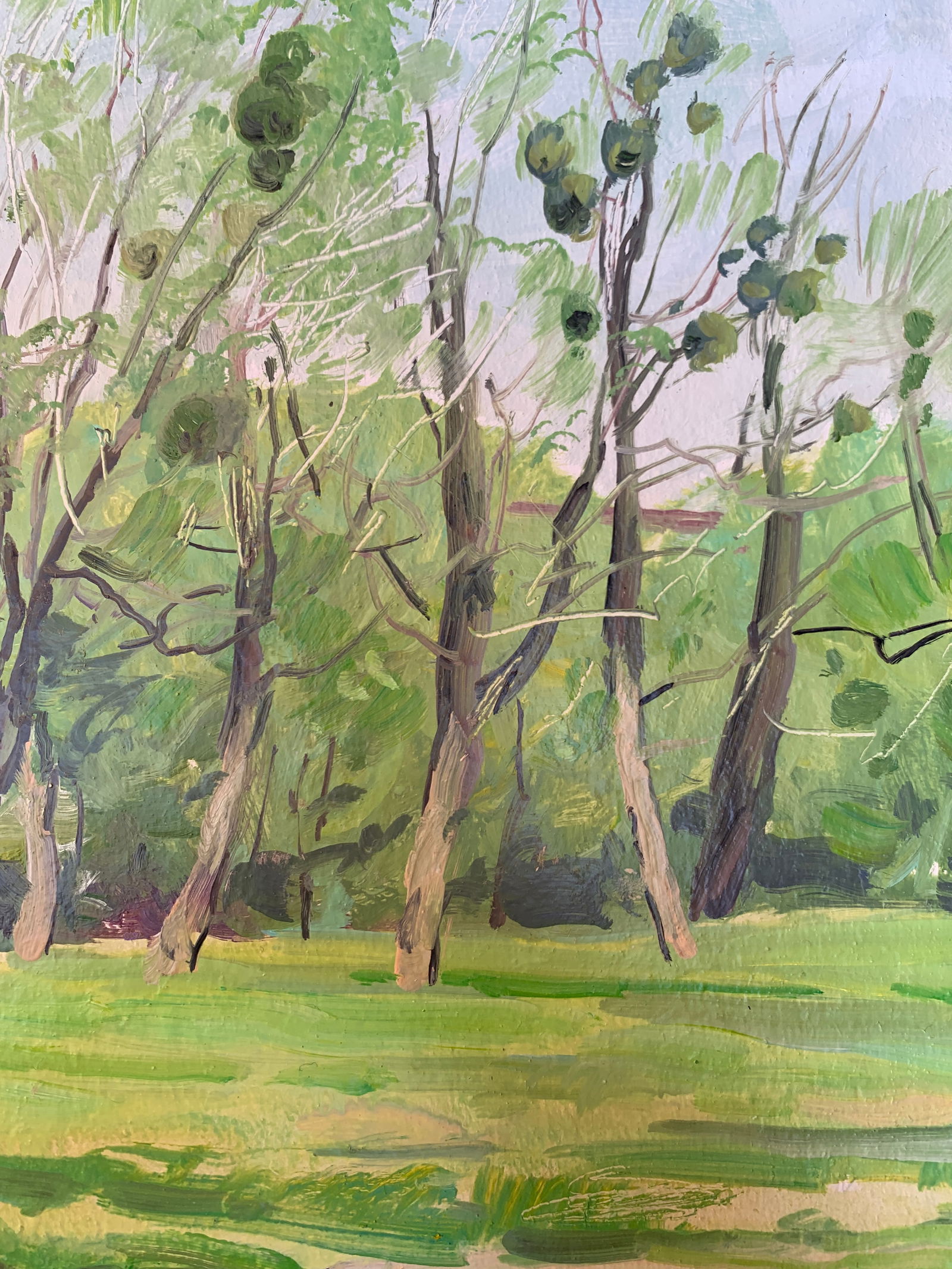 Oil painting May Oleksandr Oleksandrovich Nazarenko - 10