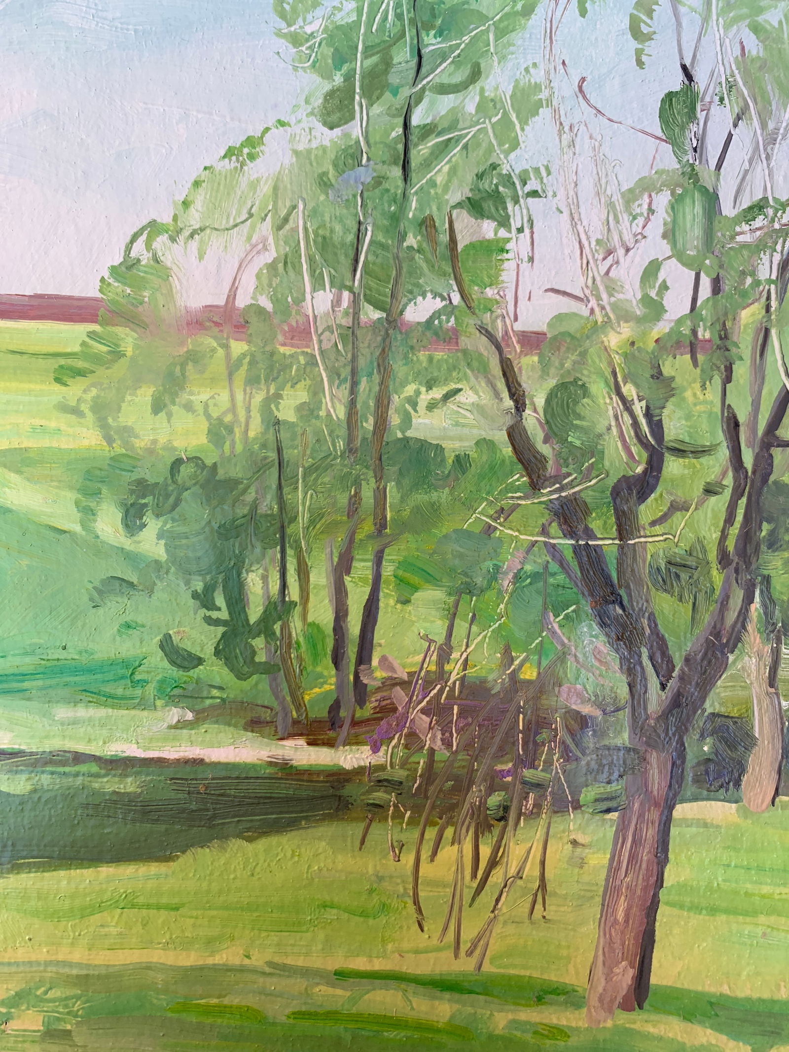 Oil painting May Oleksandr Oleksandrovich Nazarenko - 6