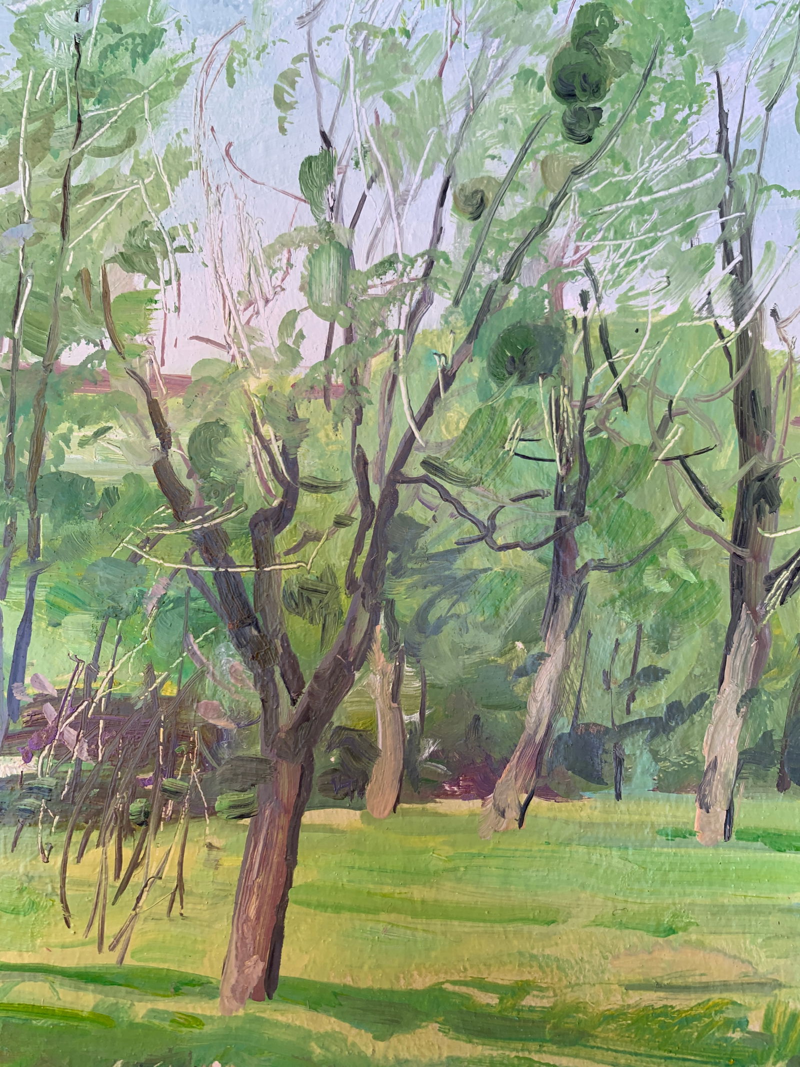 Oil painting May Oleksandr Oleksandrovich Nazarenko - 8