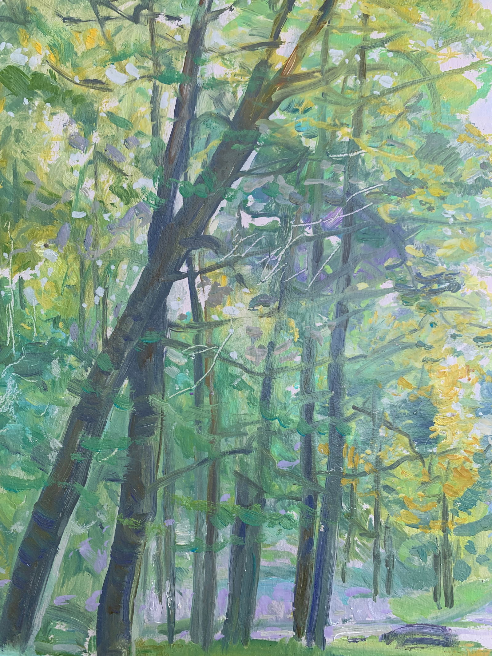 Oil painting Morning in the forest Oleksandr Oleksandrovich Nazarenko - 4