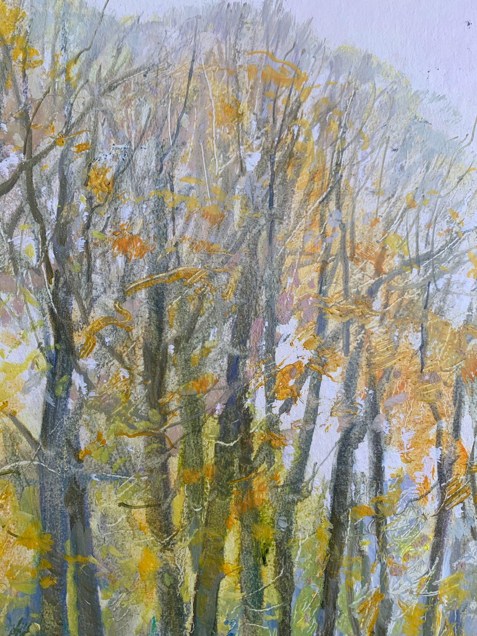 Oil painting In the park Oleksandr Oleksandrovich Nazarenko - 4