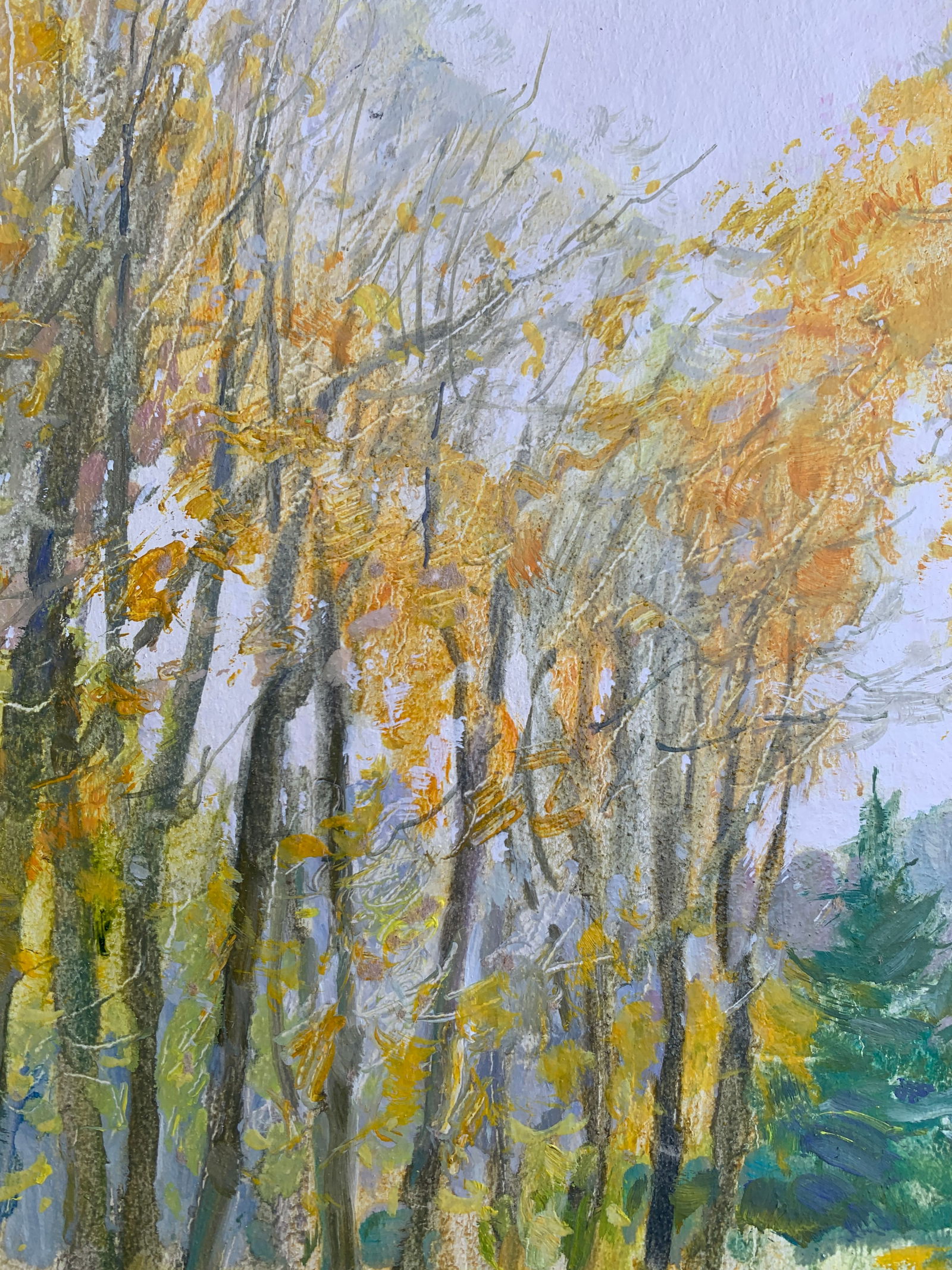 Oil painting In the park Oleksandr Oleksandrovich Nazarenko - 6