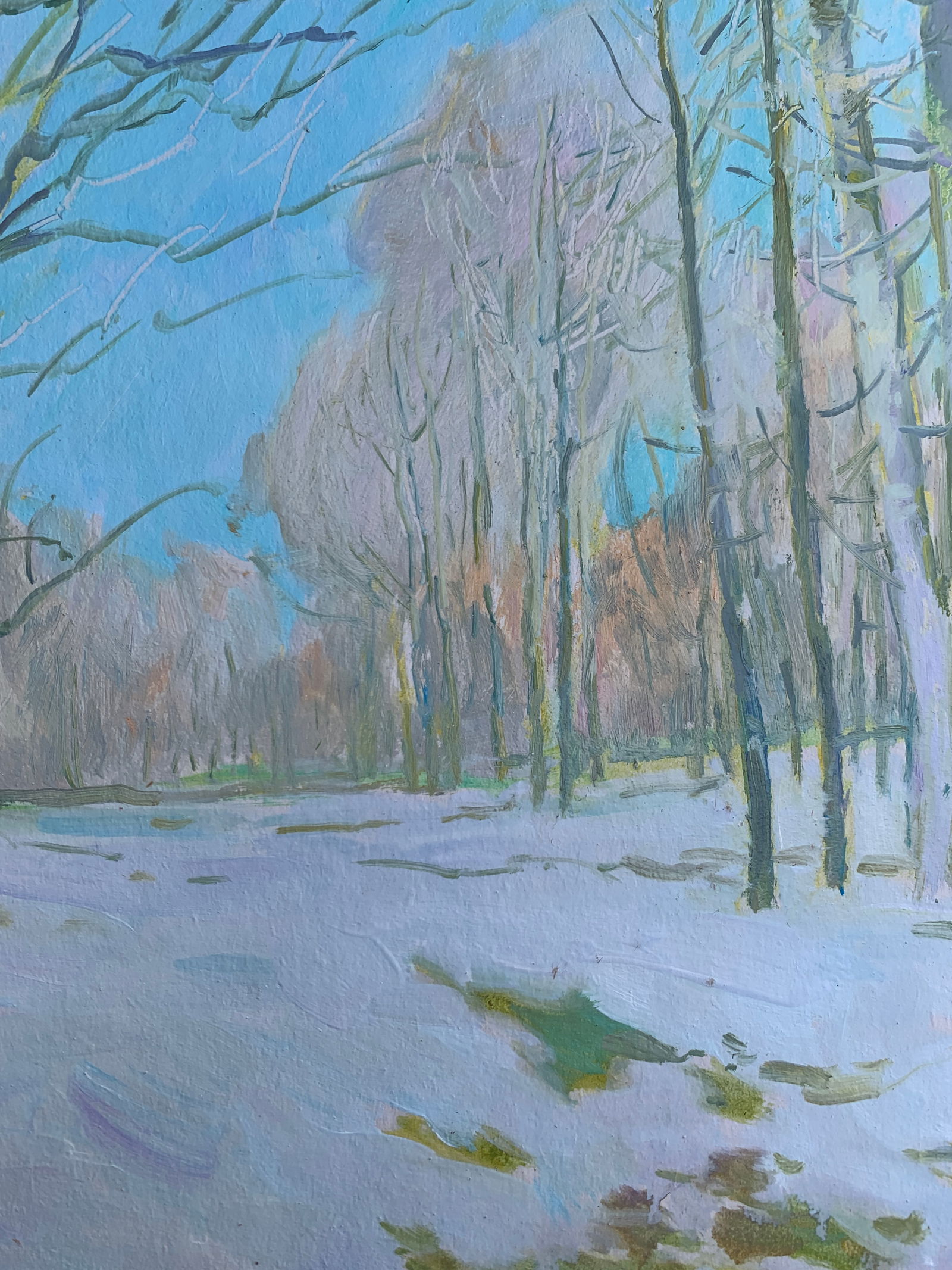 Oil painting Winter Oleksandr Oleksandrovich Nazarenko - 7