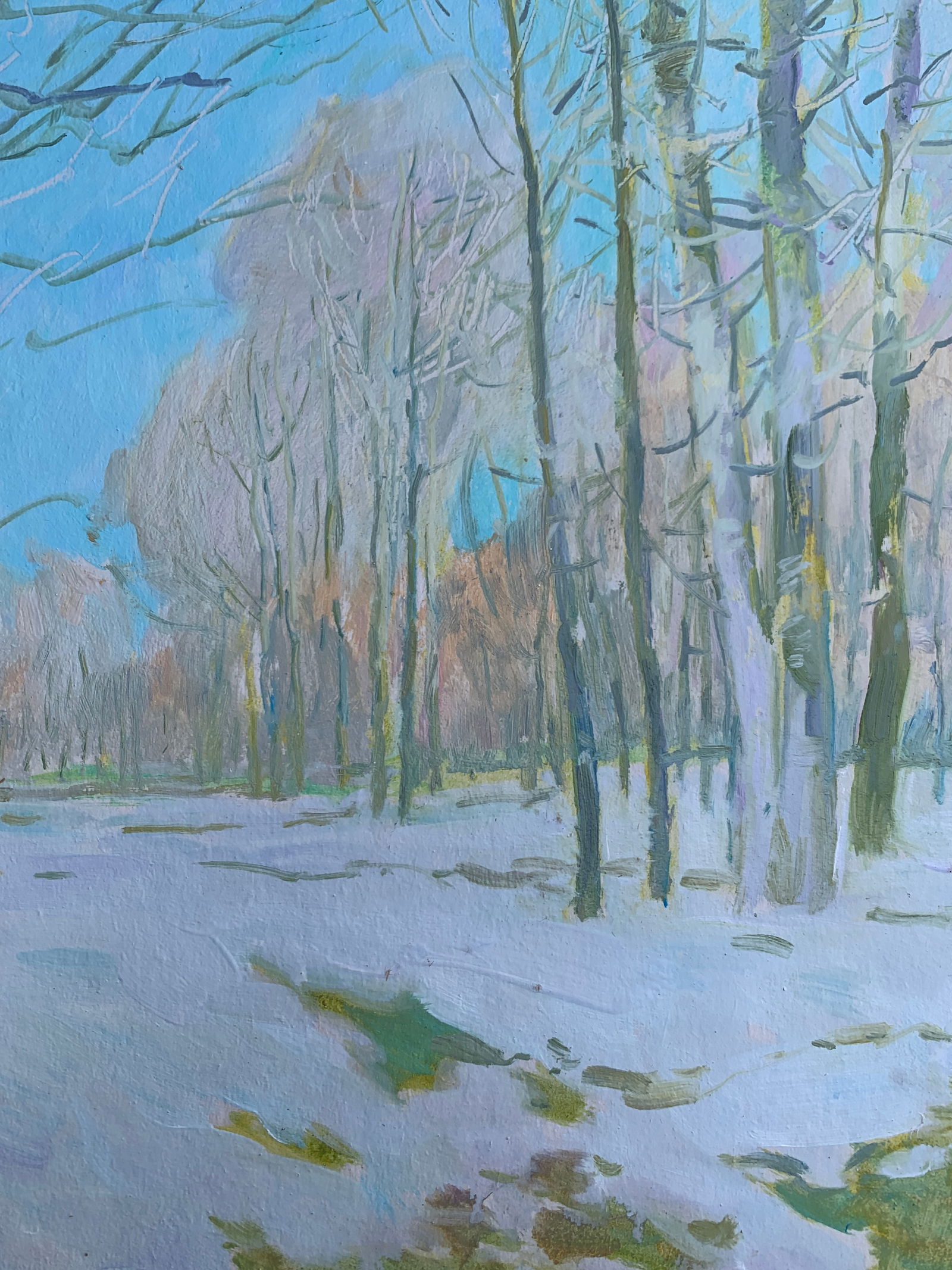 Oil painting Winter Oleksandr Oleksandrovich Nazarenko - 8