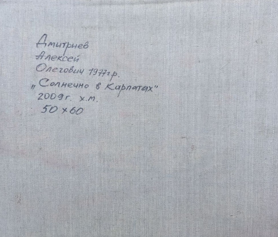 Oil painting Sunny in the Carpathians Alex Ditriev - 9