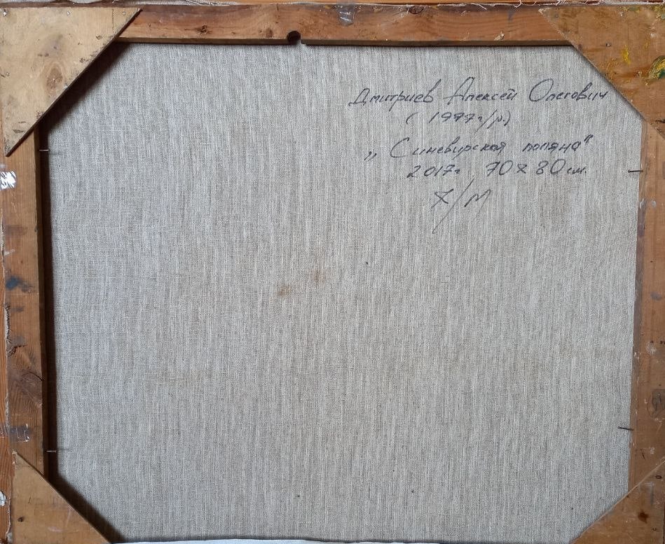 Oil painting Synevyr meadow Alex Ditriev - 9