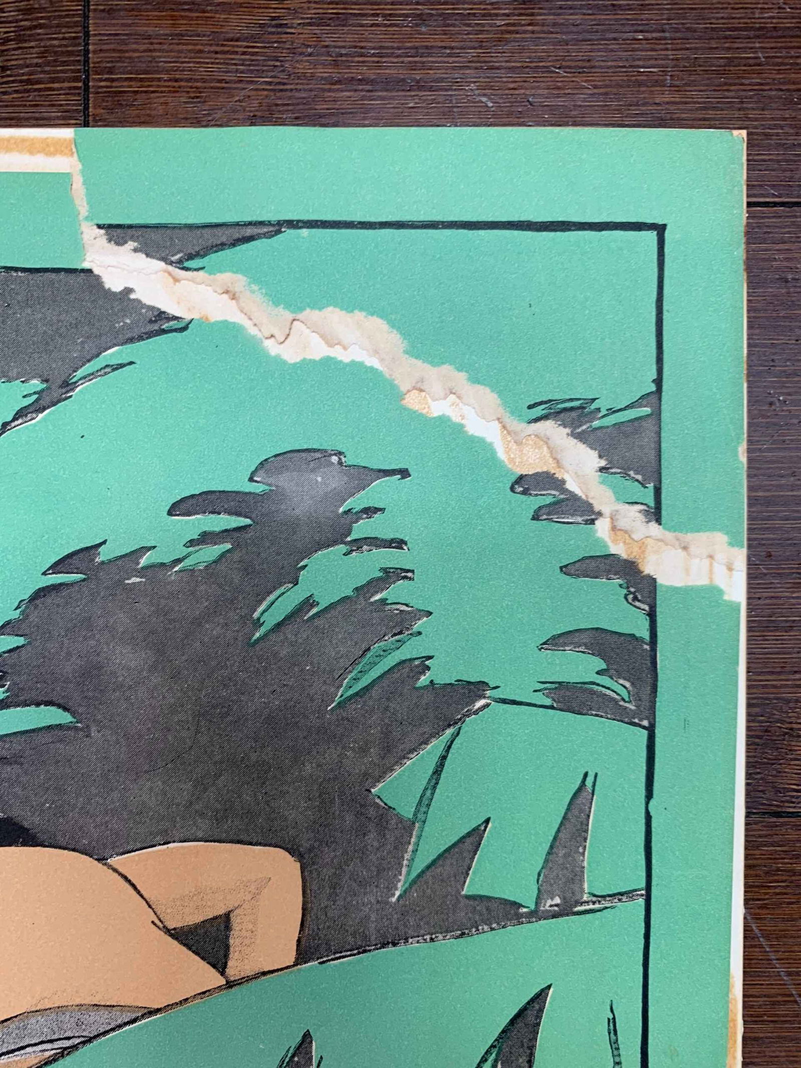 Harper's Magazine - Art by Penfield (1903) 8.25 x 17.5 US Advertising Poster - 4