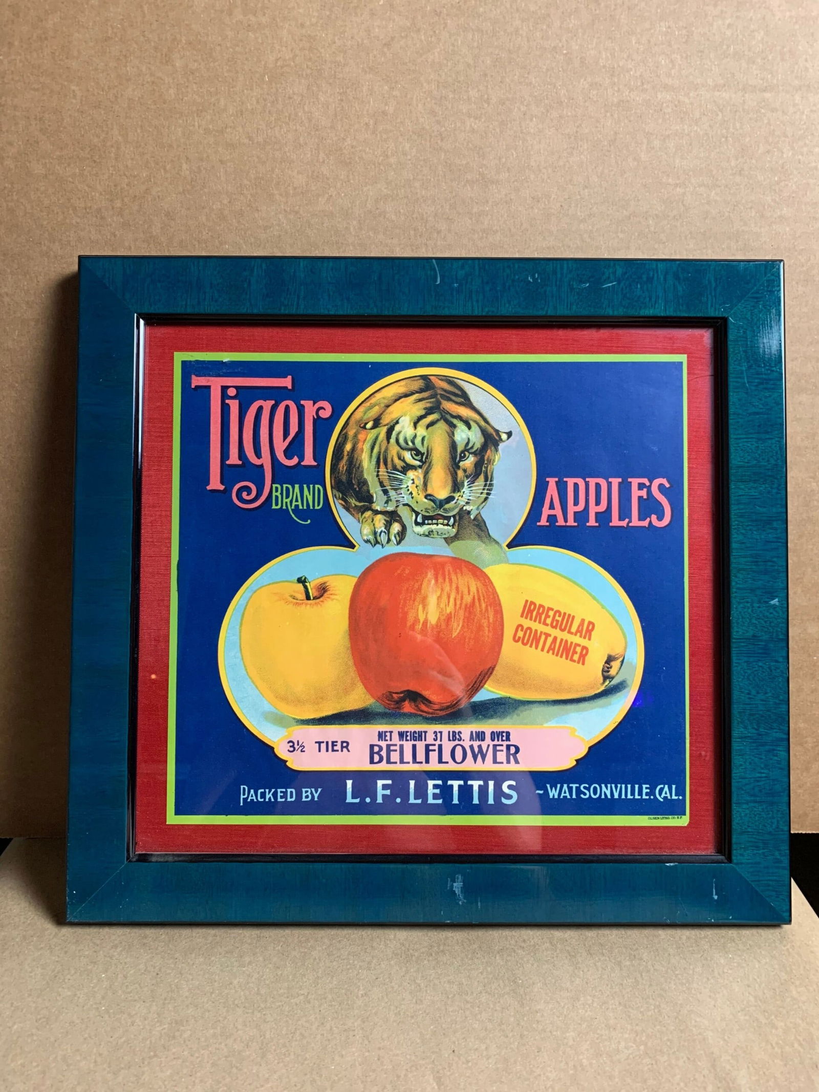 Tiger Apples (1930-50's) 13 x 14 US Avertising Labels x13: Tiger Apples (1930-50's) 13 x 14 US Avertising Labels x13\n\nPlease refer to the attached photos to determine the condition of this original vintage item. Note: LB means Linen Backed. Ready for you