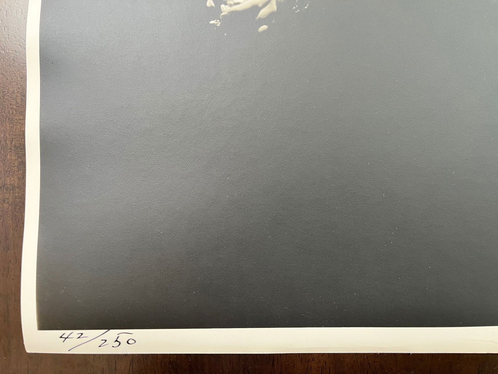 Ann Sheridan By George Hurrell - 16x20 Signed US Photo - 3