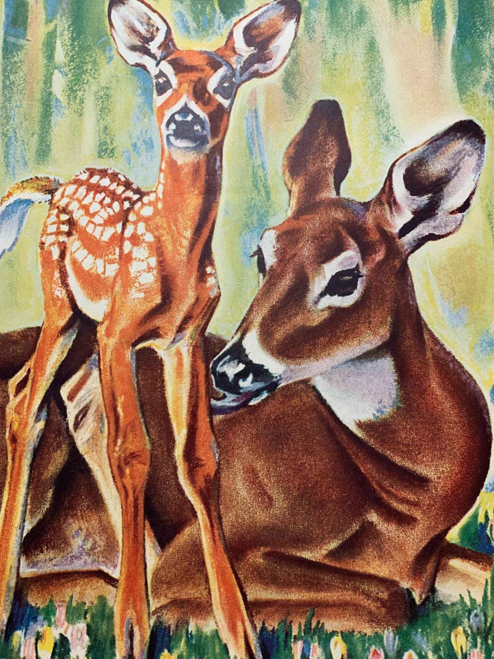 22x28 1940 Newstand Poster Saturday Evening Post - Art By Paul Bransom doe And Fawn In Forest - 4