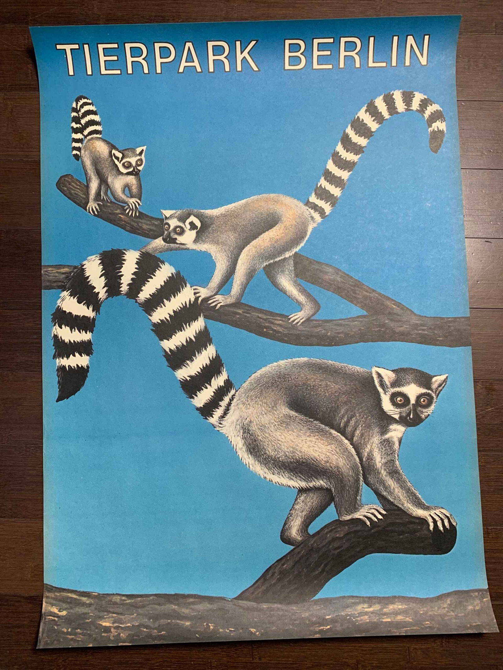 Original Tierpark Berlin Zoo (1974) 22.5 x 32 German Advertising Poster: Original Tierpark Berlin Zoo (1974) 22.5 x 32 German Advertising Poster Please refer to the attached photos to determine the condition of this original vintage item. Note: LB means Linen Backed.