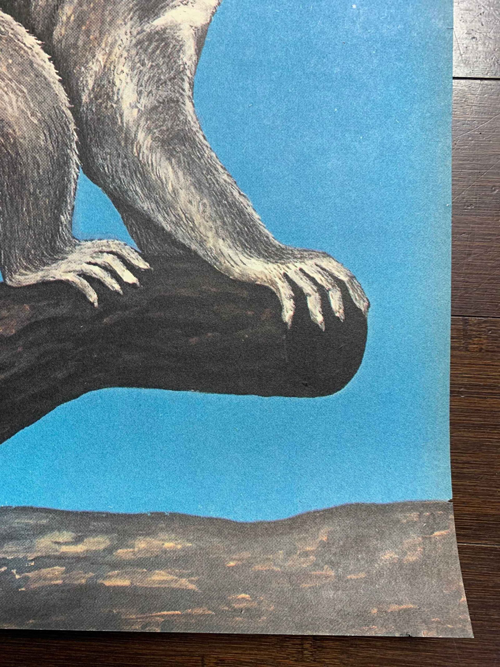 Original Tierpark Berlin Zoo (1974) 22.5 x 32 German Advertising Poster - 2