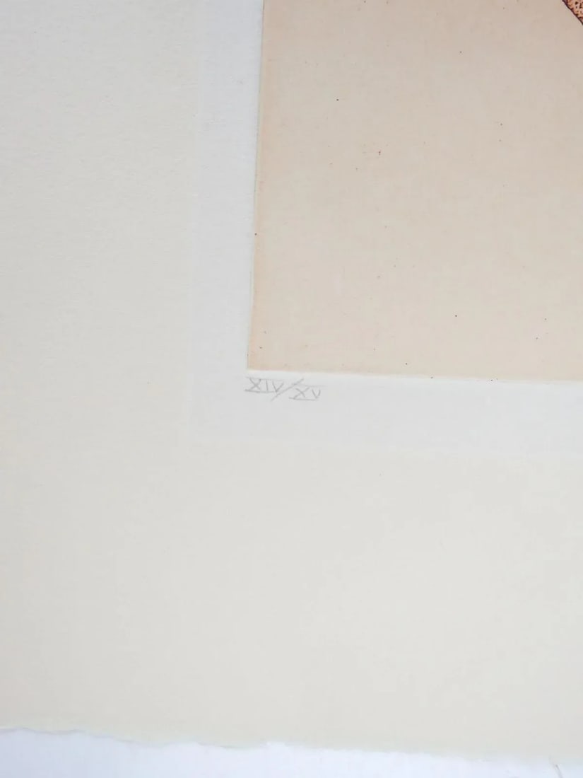 1980 Kevin Red Star Native American Crow Res Cop III Sepia Tone Etching - 4