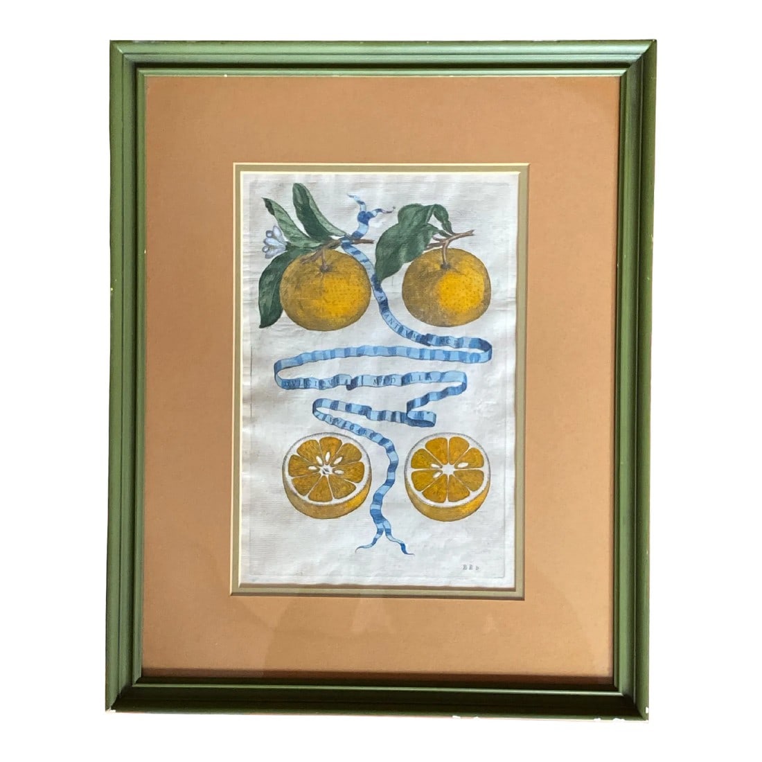 17th Century French Antique Hand Colored Engraving "Hesperides" Engraved by Bloemaert Framed: Incredibly detailed hand-colored engraving of "golden apples" now commonly called grapefruit. Two whole and one halved citrus with a delicate blue ribbon inscribed with words meandering through the