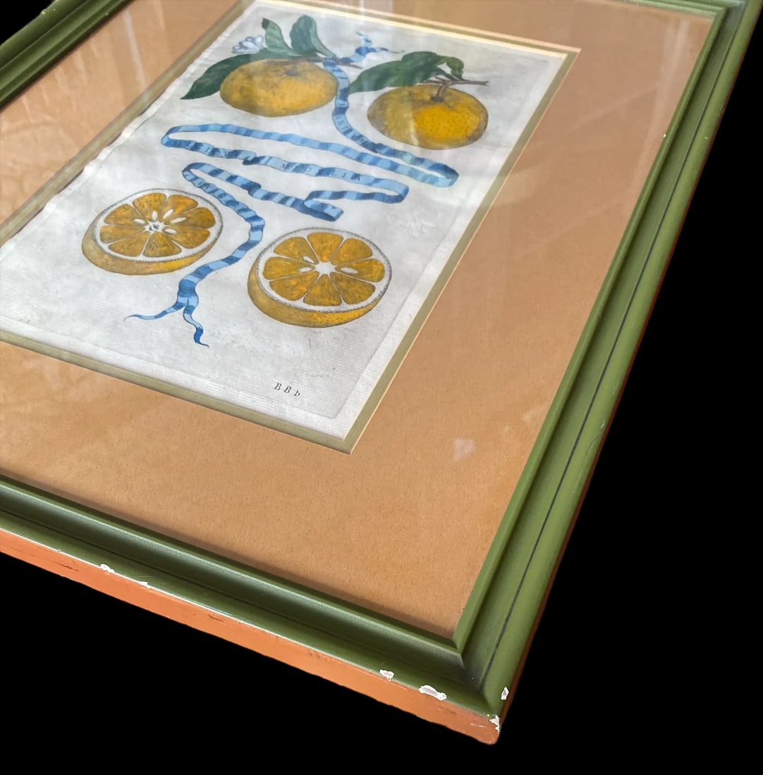 17th Century French Antique Hand Colored Engraving "Hesperides" Engraved by Bloemaert Framed - 5