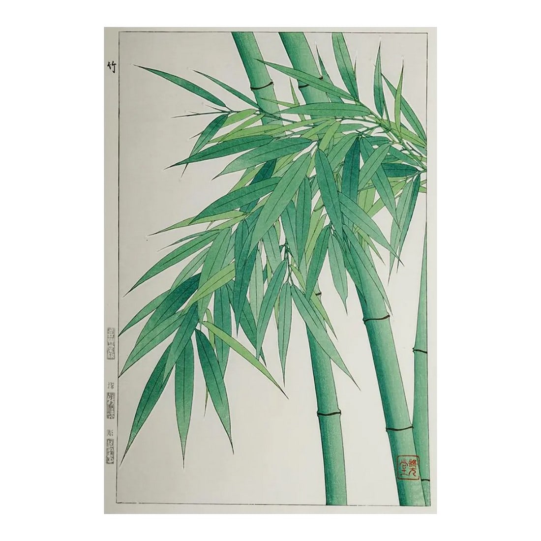 Vintage 1950's Japanese Woodblock Kawarazaki Shodoo Bamboo Print: Vintage 1950's Japanese woodblock print on paper botanical Bamboo by Kawarazaki Shodoo (1889-1973) Japan. Unframed. Condition: Alterations: Original Condition Unaltered Imperfections: Some