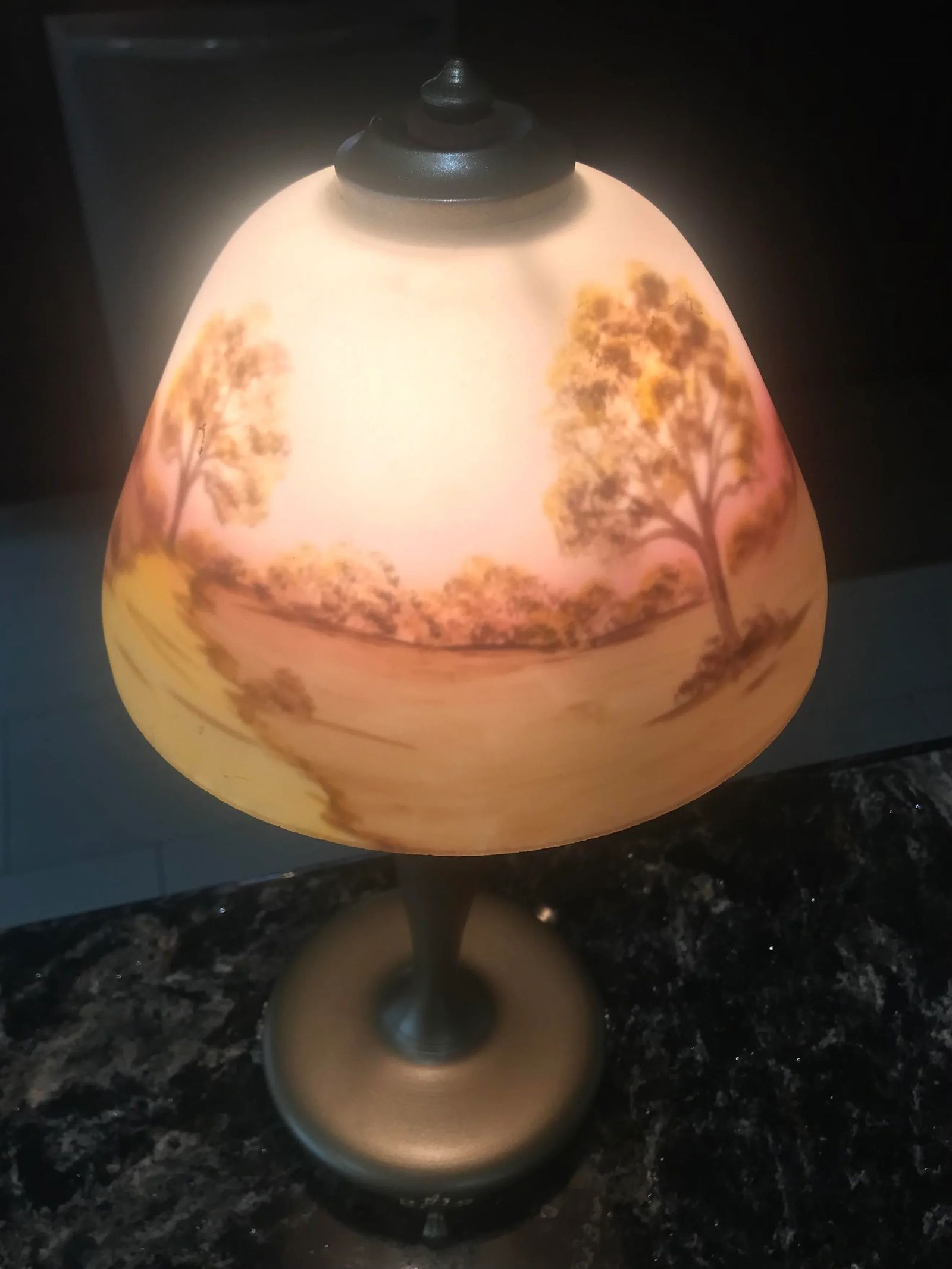 Antique Reverse-Painted, Boudoir Table Lamp, 19th Century - 2