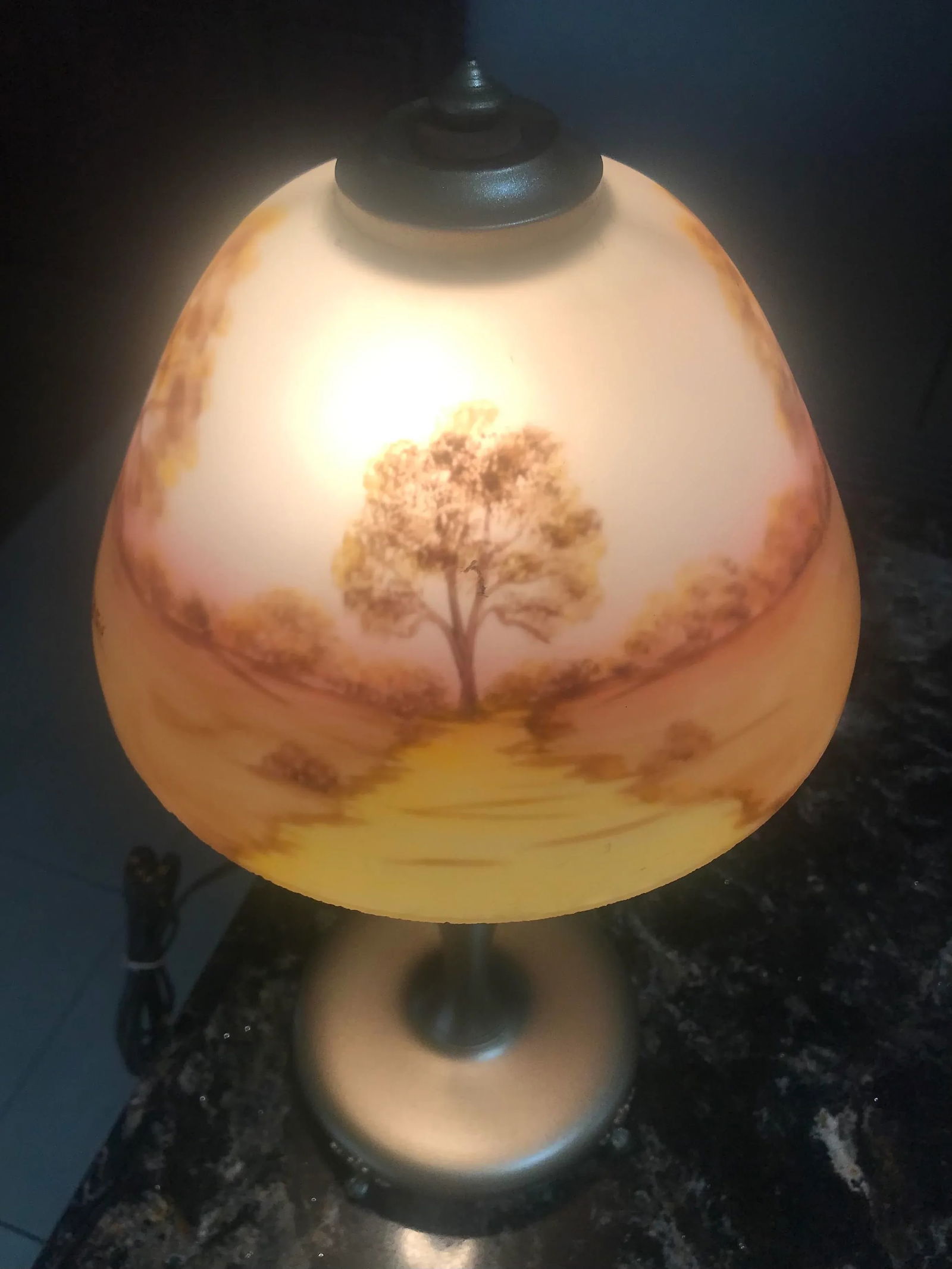 Antique Reverse-Painted, Boudoir Table Lamp, 19th Century - 3