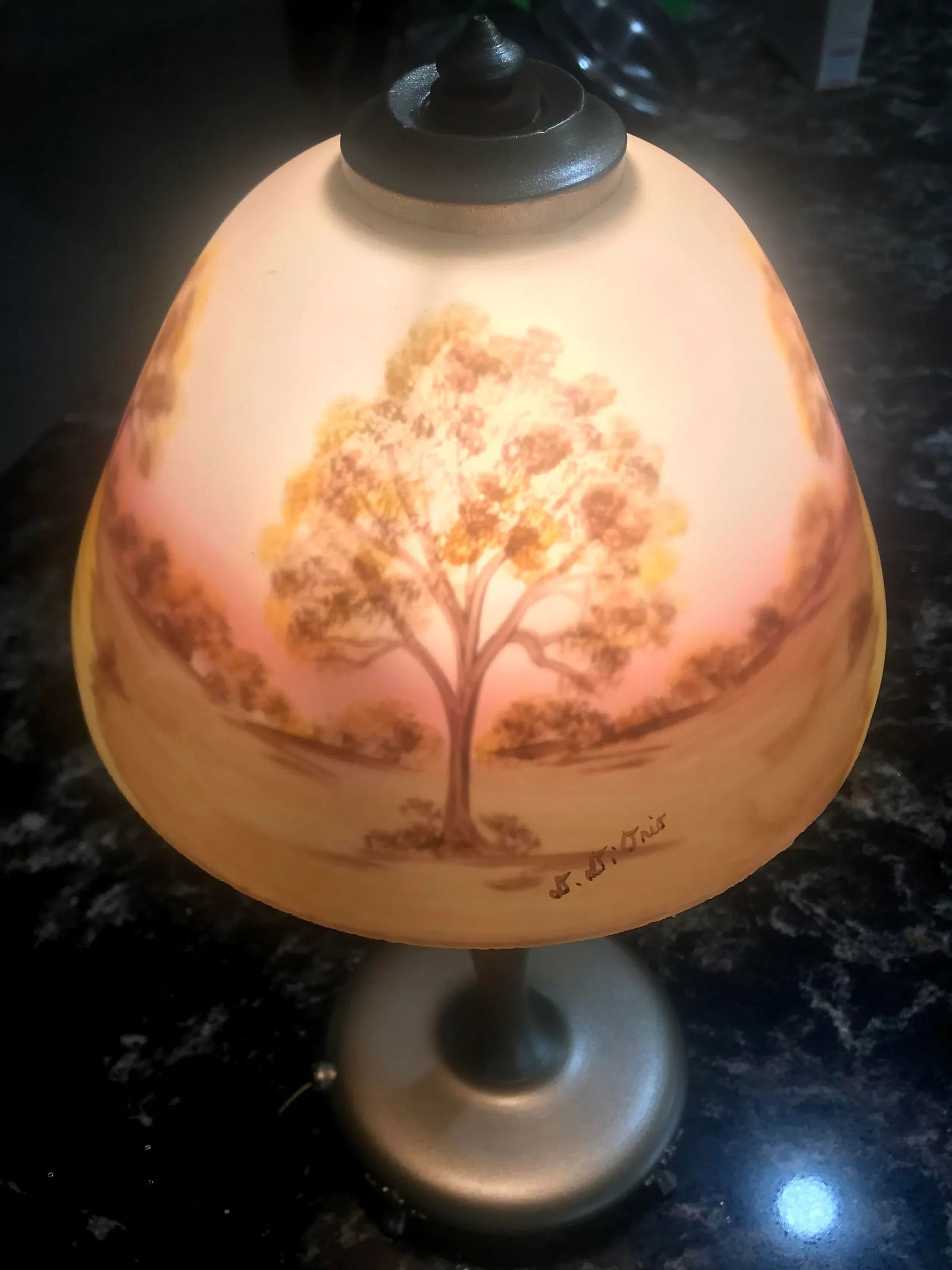 Antique Reverse-Painted, Boudoir Table Lamp, 19th Century - 4