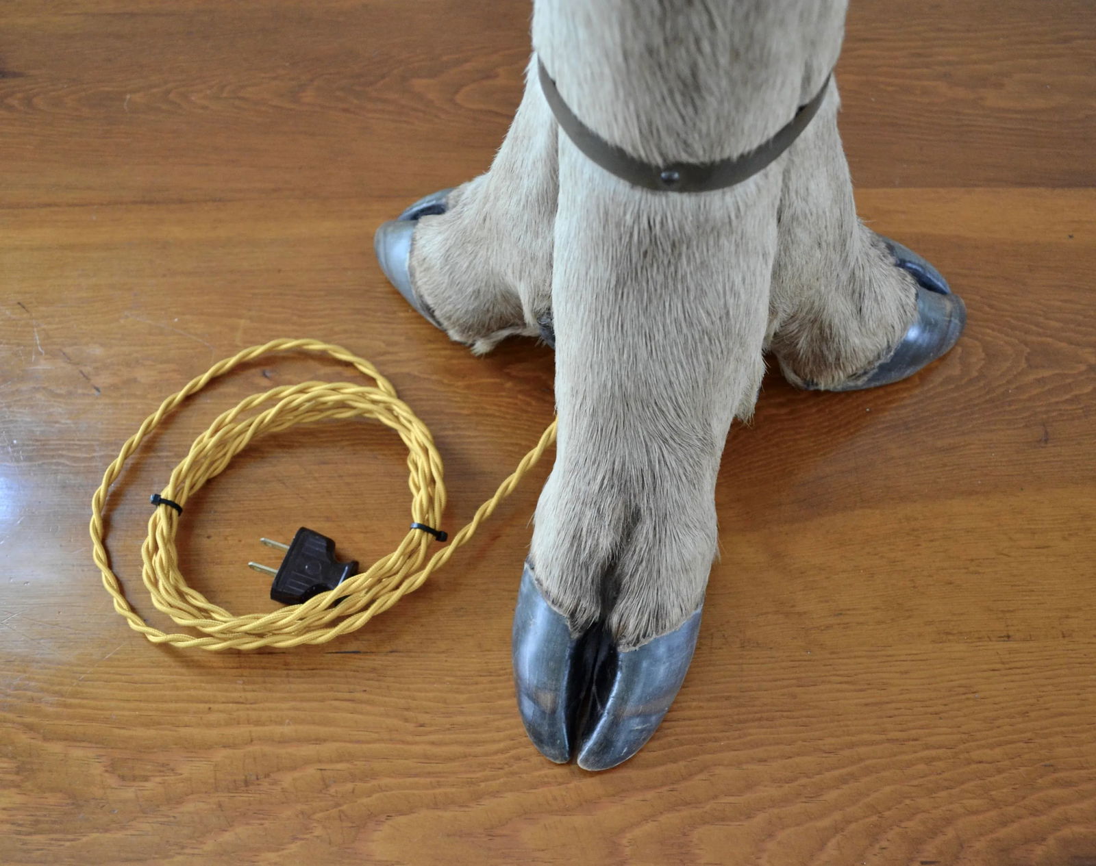 Mid Century Rustic Deer Hoof Table Lamp - 5