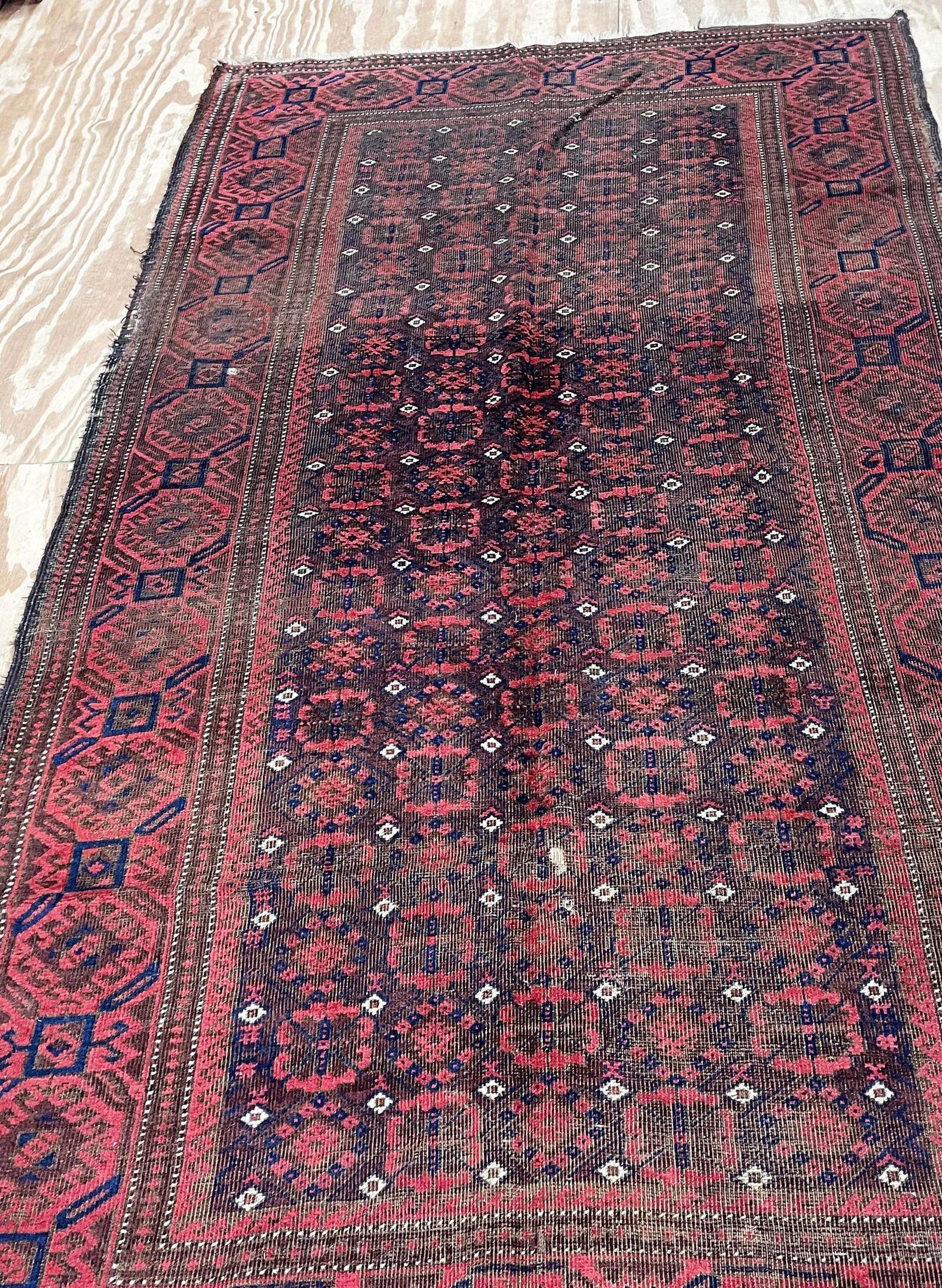 Antique Belouch Turkoman Rug, C-1900's,As Is - 6