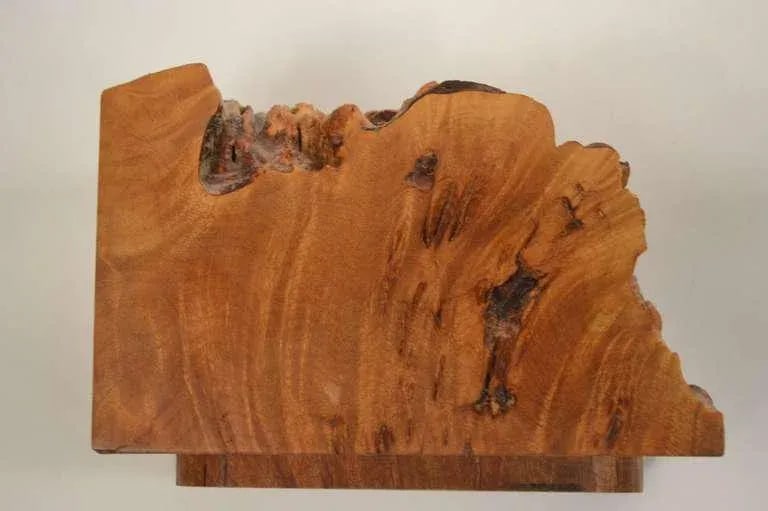 Michael Elkan Studio Box Birdseye Burl - 5