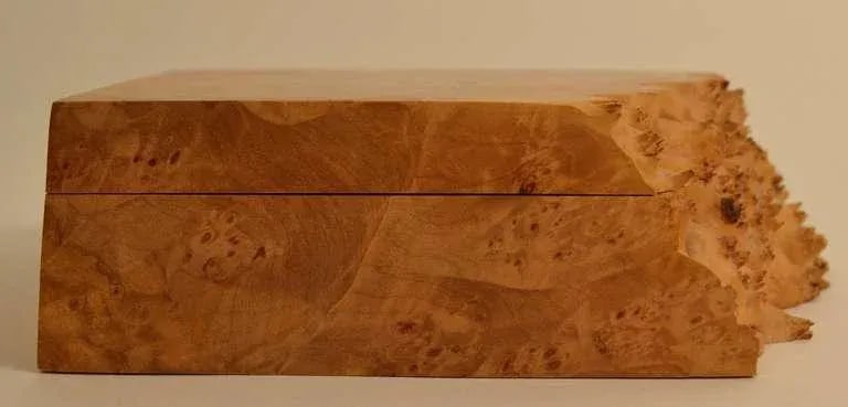 Michael Elkan Hinged Burl Jewelry Box - 5