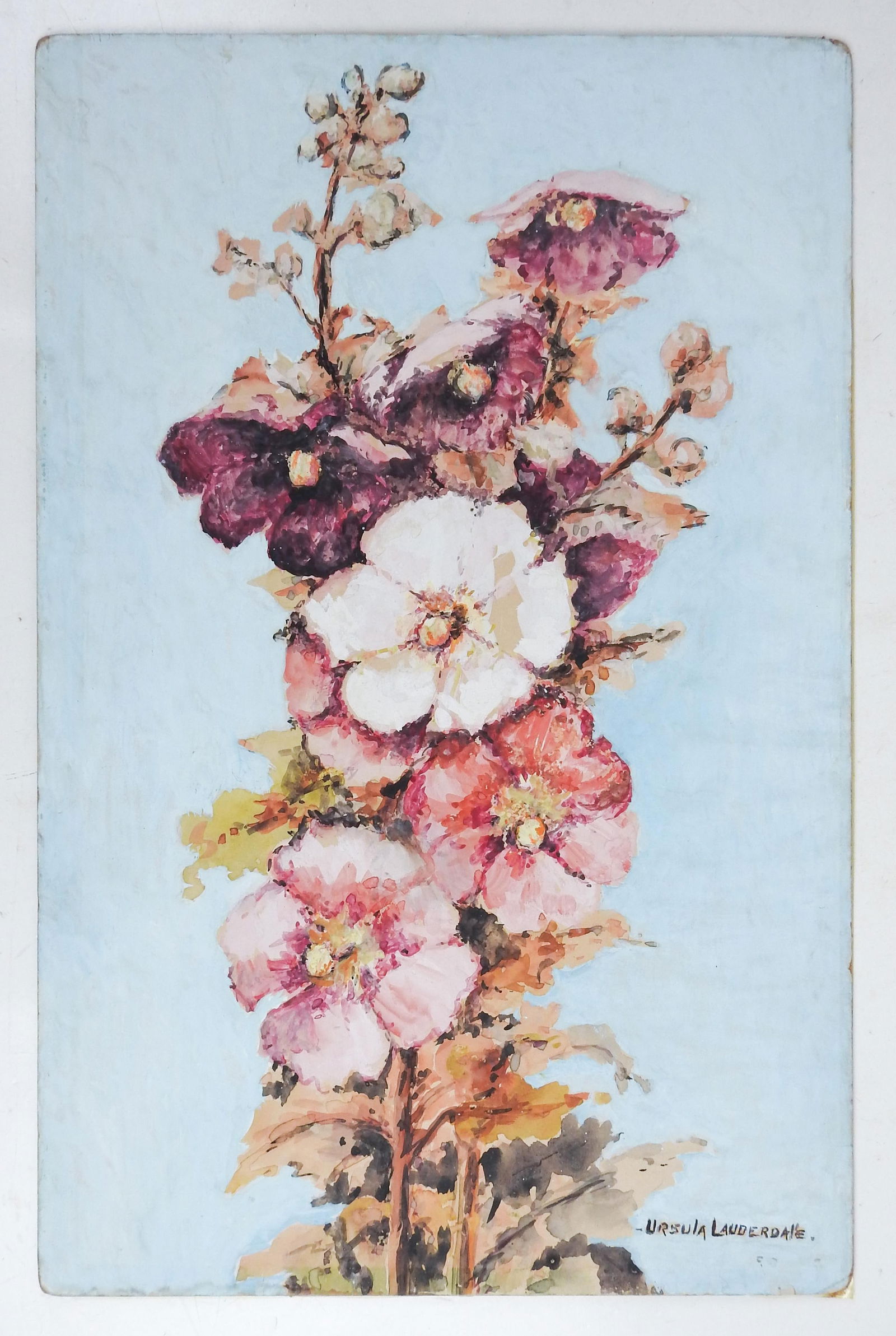 Early 20th Century Floral Ursula Lauderdale Painting - 6