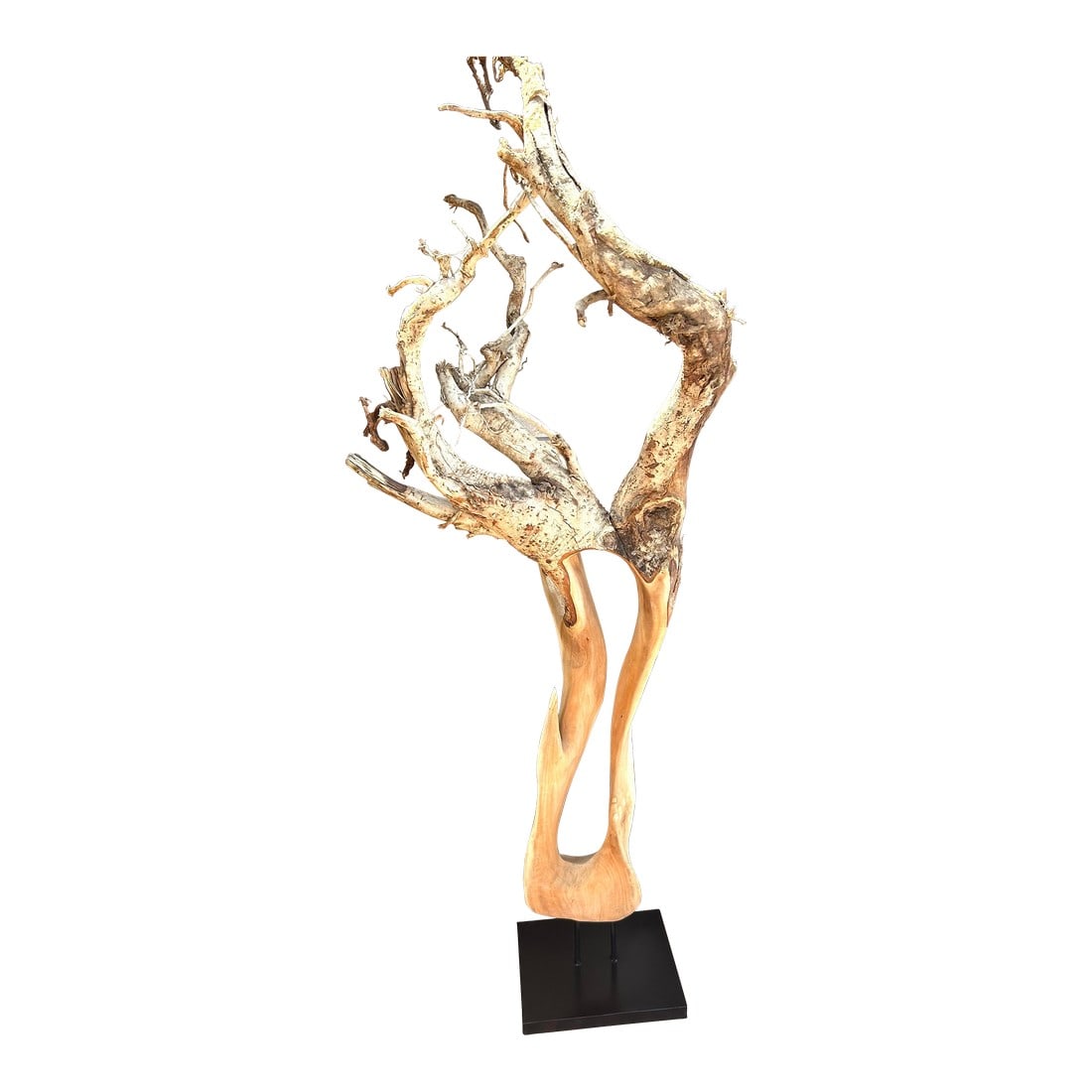 Tall Brutalist/Naturalistic Wood-On-Wood Sculpture, Secured by Metal Rods Onto Black Display Platfor: Wow! What a stunning piece"”designed by nature! This decorative sculpture of Wood-on-Wood, has been cleaned and humidity-stabilized"”especially suited to the Interiors! It looks rustic