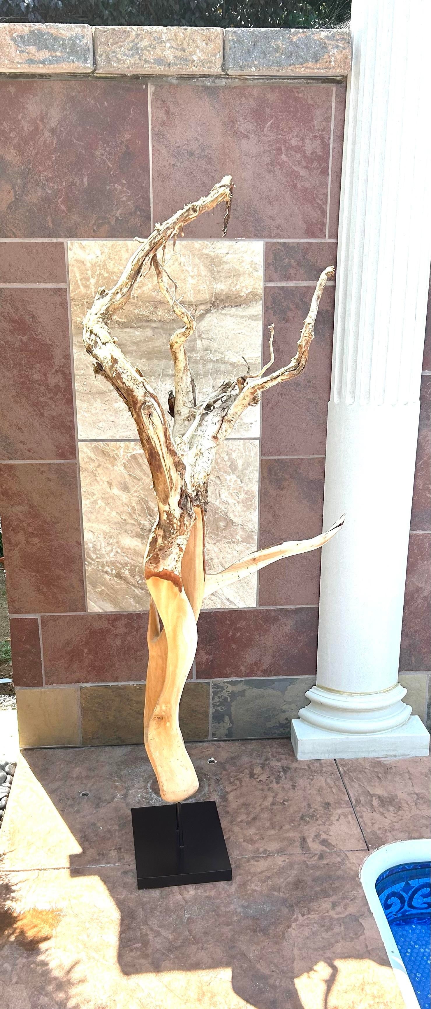 Tall Brutalist/Naturalistic Wood-On-Wood Sculpture, Secured by Metal Rods Onto Black Display Platfor - 2