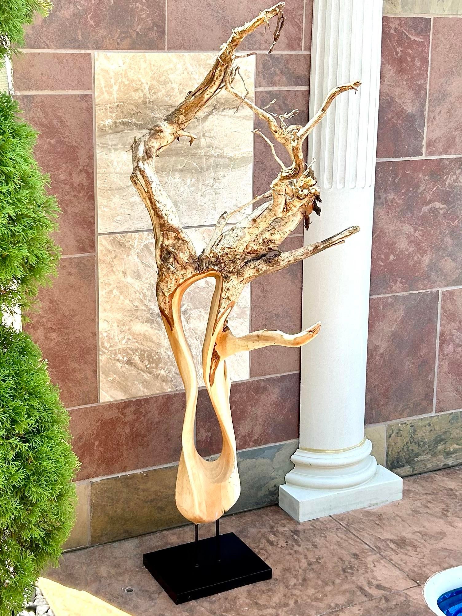 Tall Brutalist/Naturalistic Wood-On-Wood Sculpture, Secured by Metal Rods Onto Black Display Platfor - 6