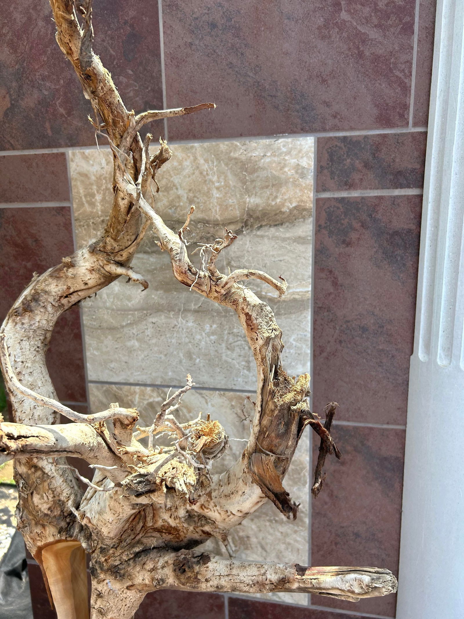 Tall Brutalist/Naturalistic Wood-On-Wood Sculpture, Secured by Metal Rods Onto Black Display Platfor - 7