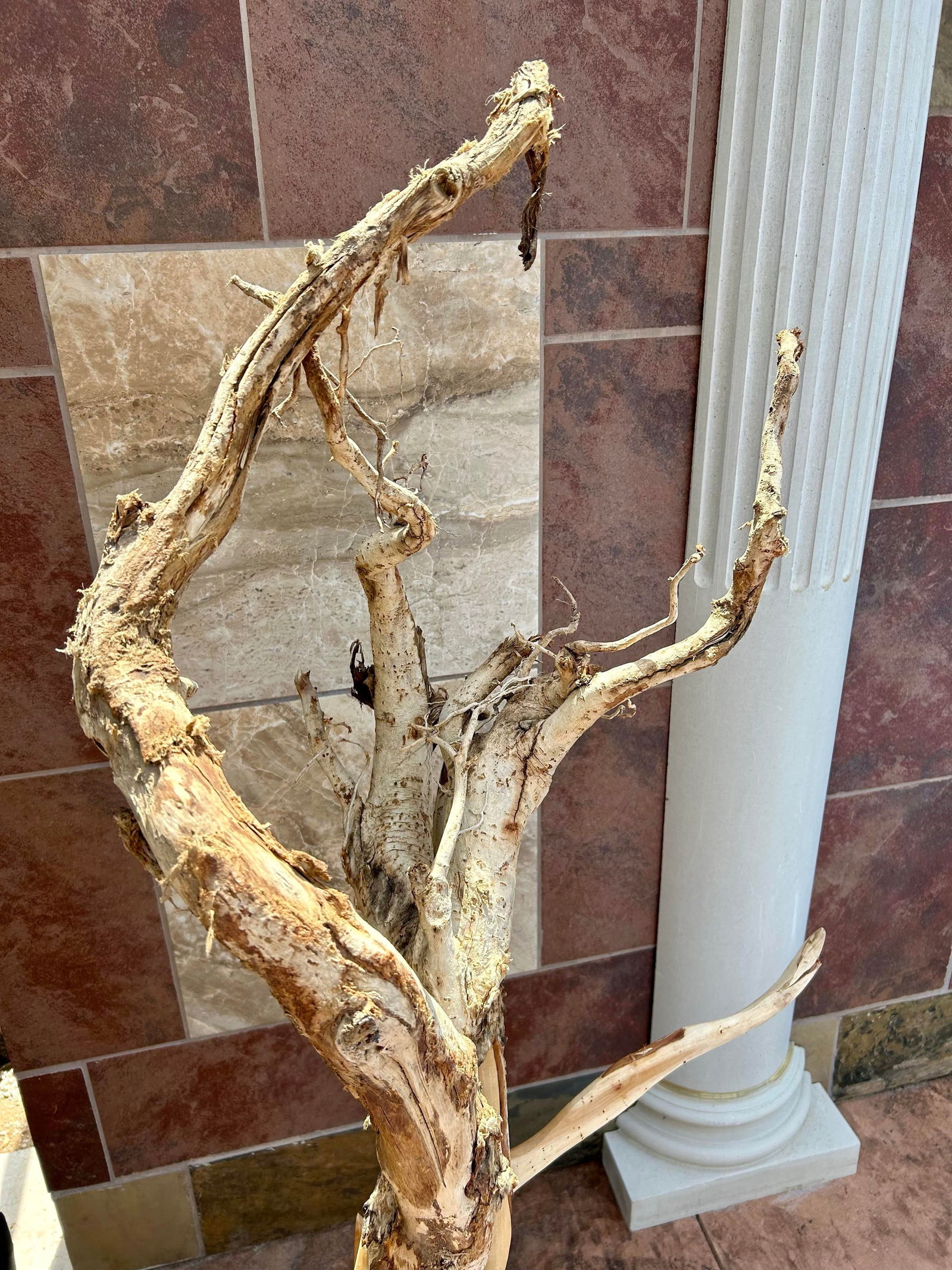 Tall Brutalist/Naturalistic Wood-On-Wood Sculpture, Secured by Metal Rods Onto Black Display Platfor - 9