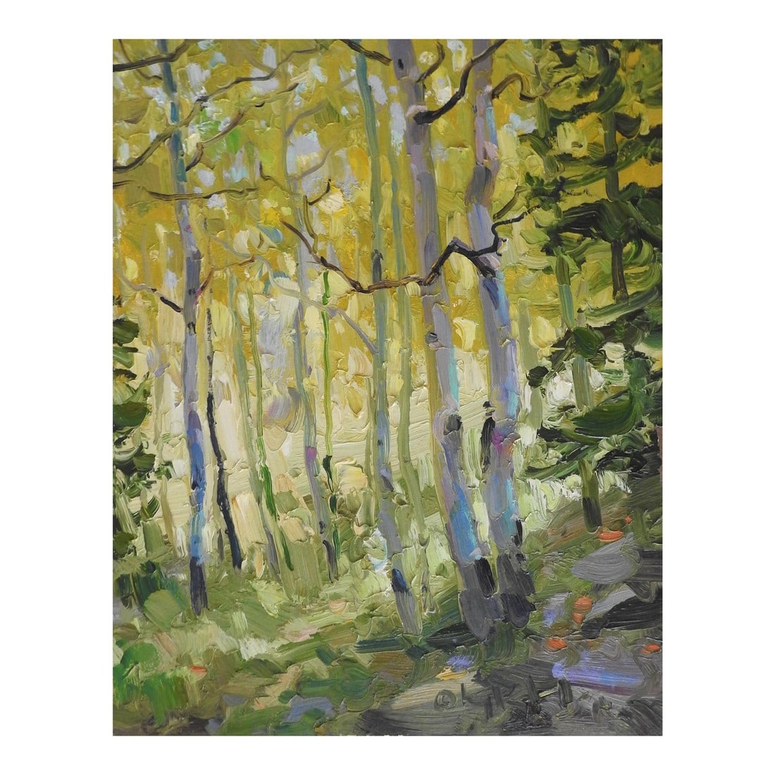 Gregory Packard Mountain Aspens Landscape Painting