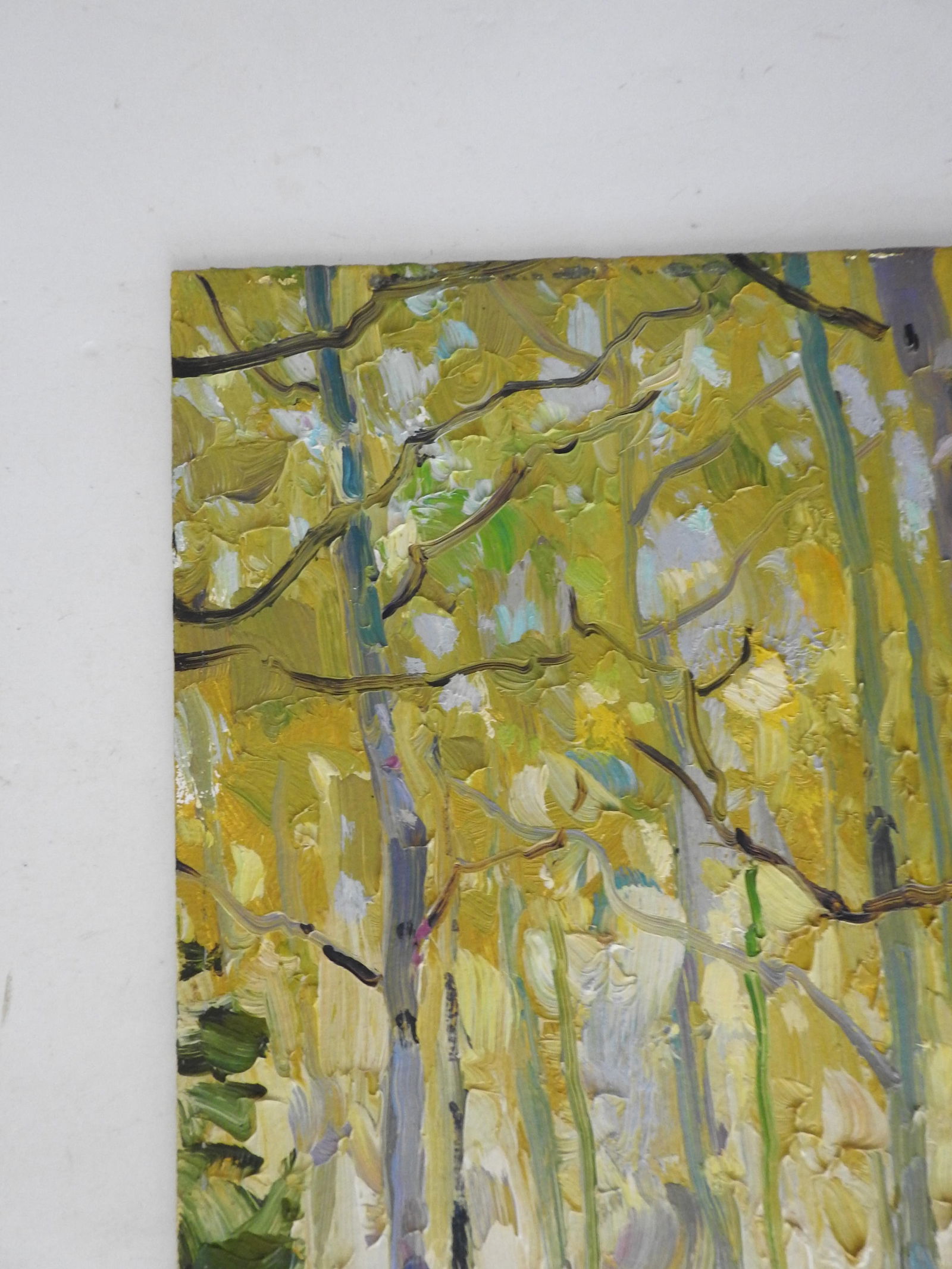 Gregory Packard Mountain Aspens Landscape Painting - 5