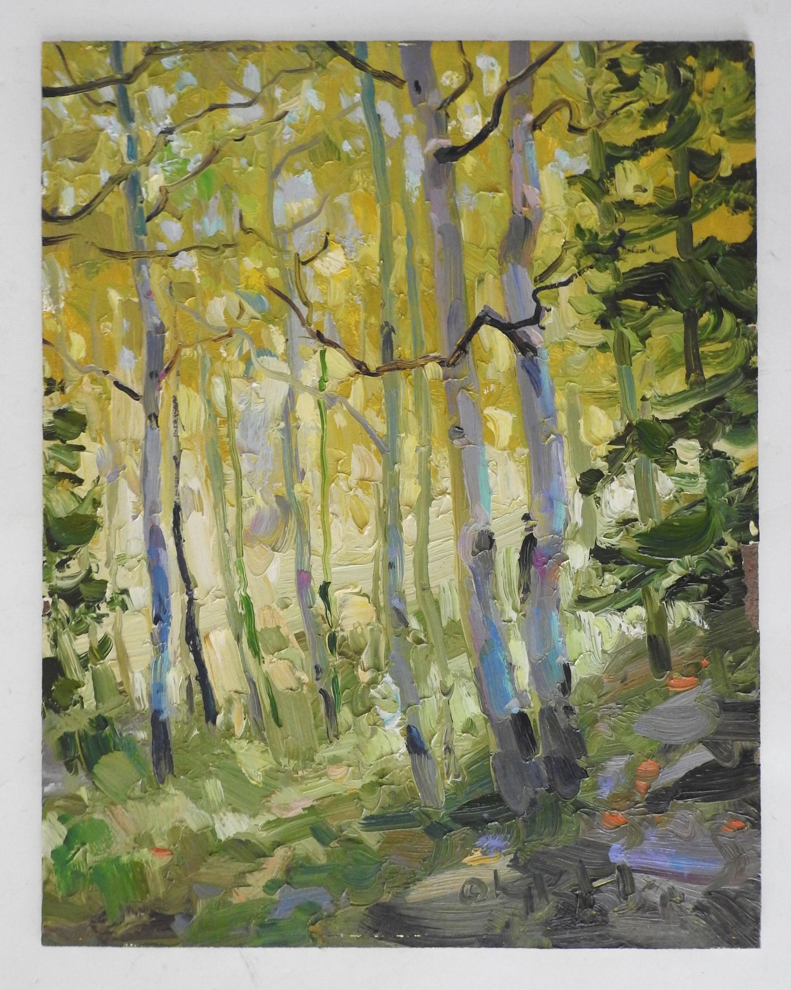 Gregory Packard Mountain Aspens Landscape Painting - 9