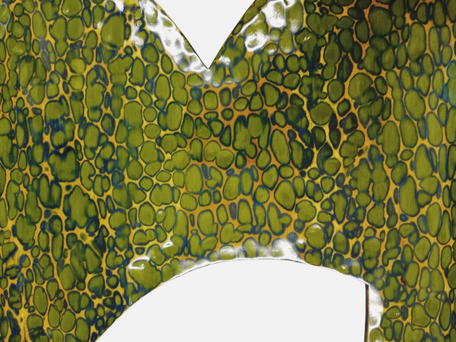 Green Curved Floor Mirror - 3