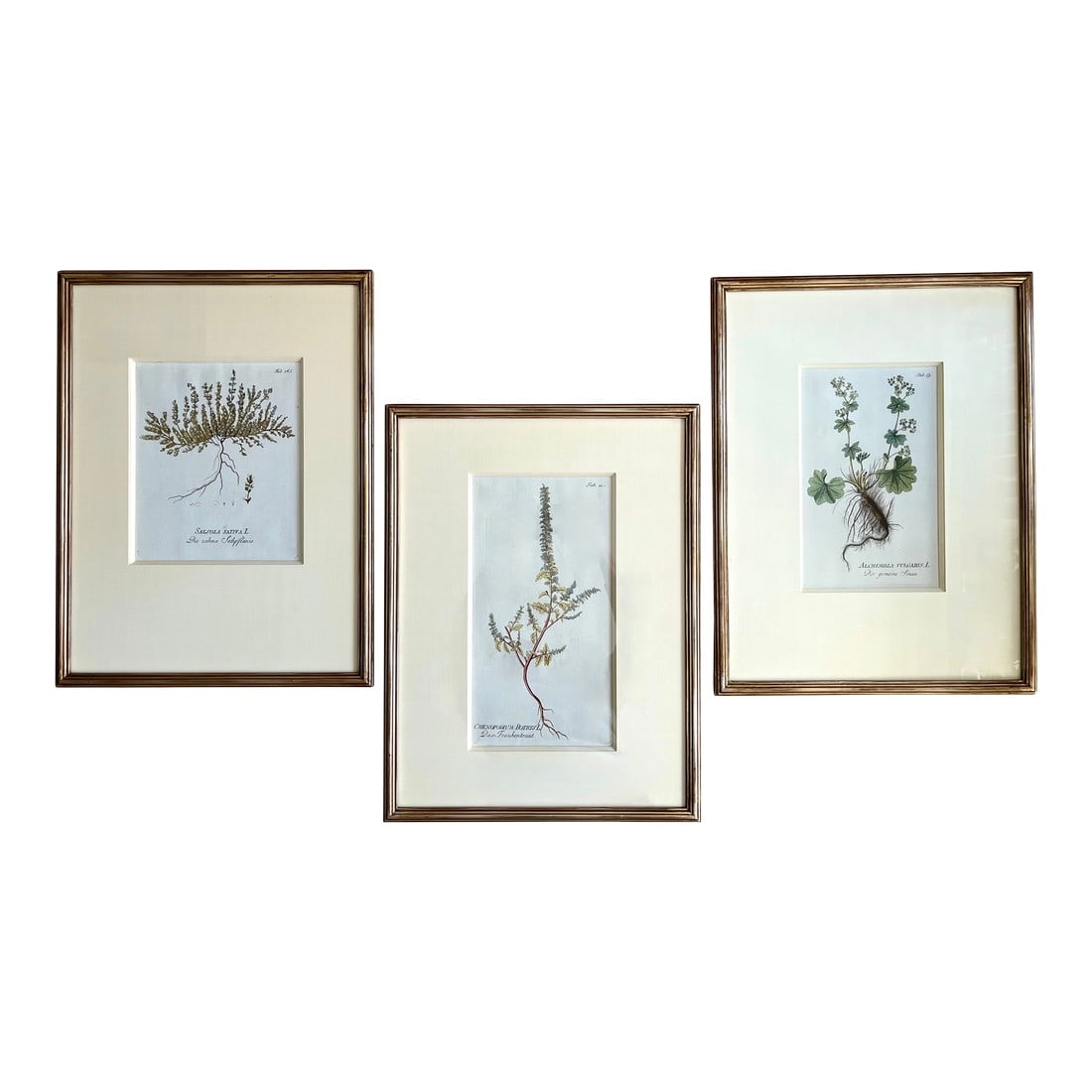 Antique Botanical Prints -Custom Framed-Adolphus Ypey-Set 3: This stunningly beautiful set of 3 antique engraved prints by Adolphus Ypey feature hand-wrapped silk mats and custom molding. Delicate, elegant botanical art to grace an equally elegant room. Photos
