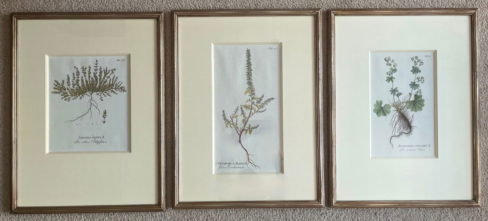 Antique Botanical Prints -Custom Framed-Adolphus Ypey-Set 3 - 2