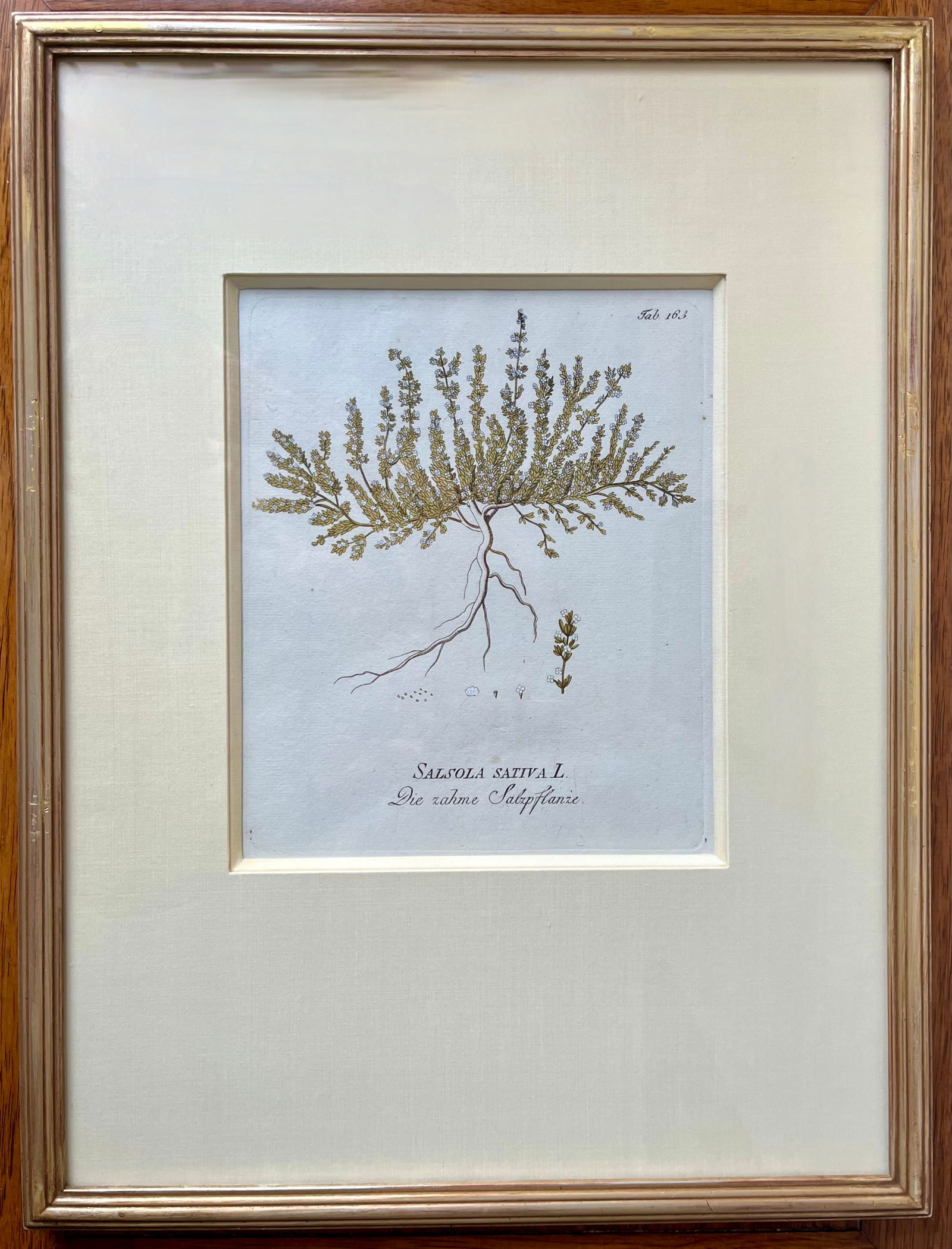 Antique Botanical Prints -Custom Framed-Adolphus Ypey-Set 3 - 3